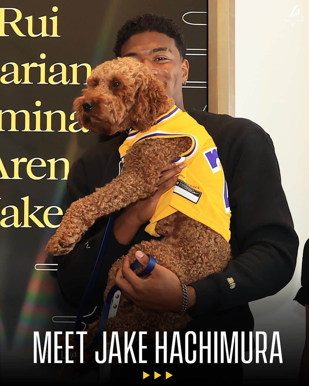 Los Angeles Lakersさんのインスタグラム写真 - (Los Angeles LakersInstagram)「OFFICIAL: Jake Hachimura — Los Angeles Laker 🐾」7月7日 9時40分 - lakers
