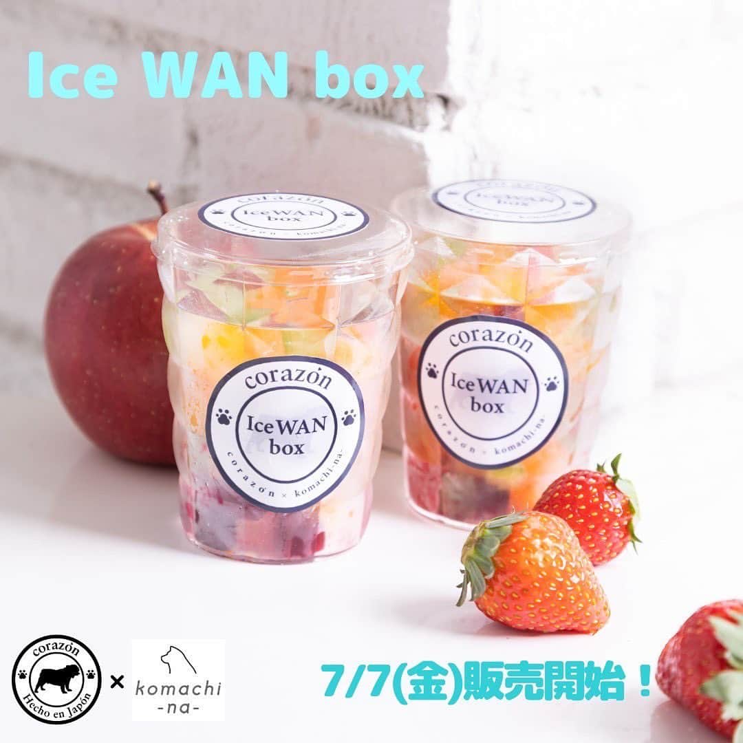 北斗晶さんのインスタグラム写真 - (北斗晶Instagram)「Ice WAN box 新発売のお知らせ🌟  corazónファミリーの皆様、いつもcorazónをご利用いただきありがとうございます！  この度、夏に欠かせない水分を美味しく補給できる『Ice WAN box』の発売が決定いたしました！  ~~~  うちの花梅田鈴は氷が大好きで、暑い季節になると冷蔵庫を開けるたびに氷が欲しくて飛んできます。 愛犬達は、ハーハーと舌を出して自分の体温を調節していますが、年々暑くなる初夏、真夏、残暑を美味しい氷で水分補給と体温調節が出来たらいいなーと思い、秋田県産の無農薬野菜やフルーツでアイスボックスを作りました。 水分をきちんと摂ってほしい夏に、このアイスボックス美味しく愛犬たちに水分補給をしてあげてください♪  プロデューサー北斗晶  ▼販売期間▼ 7月7日(金)19:00より発売開始開始‼️  ▼価格▼ 2個セット〜  2個セット： ¥1,540(税込) 3個セット： ¥2,310(税込) 4個セット： ¥3,080(税込)  ---原材料・栄養成分--- 原材料：いちご、りんご、カシス、人参、かぼちゃ、ほうれんそう、みず(力水：秋田県湯沢市)  栄養成分： 粗たんぱく0.15%以上 粗脂肪0.01%以上 粗繊維0.45%以下 灰分0.06%以下 水分124%以下 エネルギー5.1kcal/75g  <ご注意> ●与え方：体重、体調を考慮し量を調整してからお与えください。与えすぎにご注意ください。与える子に合わせて砕いて与えてください。特に子犬・老犬、病気がちの子に与える際はご注意願います。  ●使用上のご注意：冷凍庫に保管してください。発送の状況によりアイスが多少溶けて固まっている場合がございますが、品質に問題はございません。蓋を開ける前によく振ってから開蓋してください。  http://corazon.link/products/pet_food_icewanbox」7月7日 11時19分 - hokutoakira_official