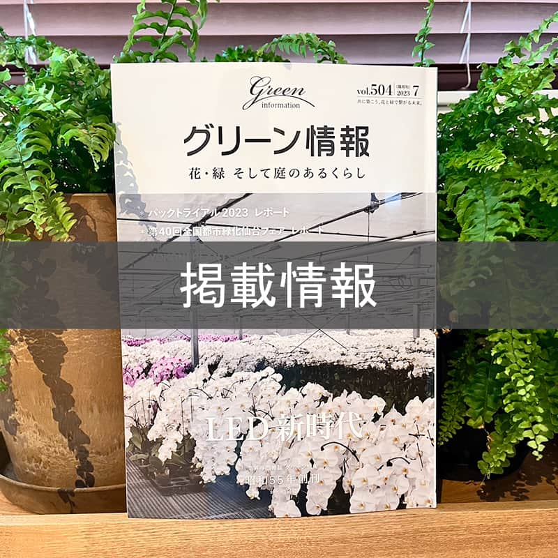 BRID 【NEXTANDARD MARKET】のインスタグラム：「. 【PRESS infomation】  「グリーン情報」vol.504 に 「PLANTS LIGHT」が掲載されました！  ＊＊＊  ■PLANTS LIGHT  植物の生長を促し、人も快適に暮らせるLED照明です。 明るさは40W/60W、色味はそれぞれにWARM / COOLがあります。  一般のLEDライトとは異なる波長の光によって植物の光合成を促し、生長や健康維持ができます。 観葉植物を育てている方はもちろん、ハーブなど実際に口にするものを育てている方にもおすすめ◎  ♦︎植物の生長や健康維持に 　太陽光の波長の中で、植物が光合成する際に必要とされる光の波長に合わせたLED電球  ♦︎色の再現度が高く、人にも自然な明るさ 　演色性が高いため、自然光下に近い色合いが再現できます。  ♦︎手軽な電球タイプ 　お好みの照明に取り付けられるので、手軽にお使い頂けます。 　インテリア性と実用性の両立が実現できます。  外見はシンプルな電球で、日々使っているものと同じサイズ感のため、お気に入りの照明と組み合わせて使えます！ 実用性に加えインテリア性も持ち合わせた、植物にも人にも優しいアイテムです。  商品の詳細は、画像に貼ってあるリンクからご覧ください。 →@brid_japan  #brid_japan #bridのある暮らし #ブリッド #MERCROS #メルクロス #プランツライト #植物ライト #植物育成ライト #育成ライト #植物育成ledライト #観葉植物ライト #植物のある暮らし #植物と暮らす #観葉植物のある暮らし #観葉植物 #塊根植物 #多肉植物 #グリーンのある暮らし #インテリアグリーン」