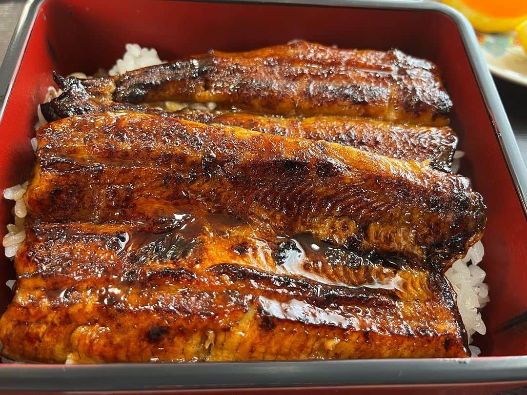 浅田信一のインスタグラム：「ふわとろ😋 浜名湖うなぎでパワーアップして京都に向かうぜ。 今夜はSole Cafeにてライブ。品切れだったオリジナルTシャツあるかなー。  #うな修」