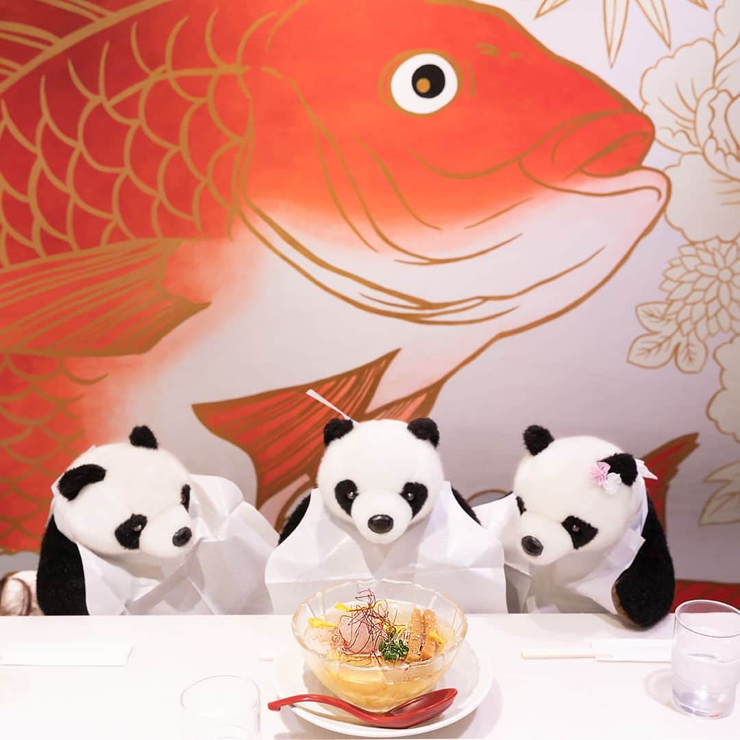 アトレ上野（atre ueno）さんのインスタグラム写真 - (アトレ上野（atre ueno）Instagram)「"#アトパンのアトレ上野巡り 今日はアトレ上野にある、鯛塩そば灯花にみんなで冷やし麺を食べに来たよ🍜🐼  新鮮な真鯛のおだしたっぷり使った冷やし麺なんだけど、清涼感たっぷりで見た目にも涼しくなるね🎐✨  これからの暑くなる季節にぴったり☀️ みんなもぜひ食べに来てね〜!  鯛塩そば　灯花 (WEST1F 10:00～25:00（L.O.24:40）)"  "We all came to eat chilled noodles at Tai Shio Soba Toka in Atre Ueno today🍜🐼  This ramen is chilled noodles with fresh sea bream broth, which is very refreshing and cool to the eye 🎐✨  Perfect for the upcoming hot season ☀️ Come and try it!  Tai Shio Soba Toka (WEST1F 10:00 - 1:00 the next day (L.O.0:40))"  "今天來到上野atre的鯛塩蕎麥燈花吃冷麵了🍜🐼 冷麵的湯頭使用了豐富的新鮮鯛魚熬煮，不僅口感清爽，視覺上也很消暑🎐✨ 非常適合即將到來的炎熱季節☀️  大家一定要來嚐嚐看唷〜！  鯛塩蕎麥 燈花 (WEST1F 10:00～次日1:00（最終點餐0:40）)"   #上野 #アトレ上野 #アトレ #atre #atreueno #パンダ #上野パンダ #上野散策 #熊猫 #東京観光 #PANDA #🐼 #ueno #tokyotour #ぬい撮り#灯花#鯛塩そば灯花#toka#鯛塩ラーメン#鯛ラーメン#鯛塩そば#上野グルメ#上野ラーメン#東京ラーメン#上野ランチ#東京ラーメンマニア#tokyoramen#shioramen#tokyofood」7月7日 12時00分 - atre.ueno