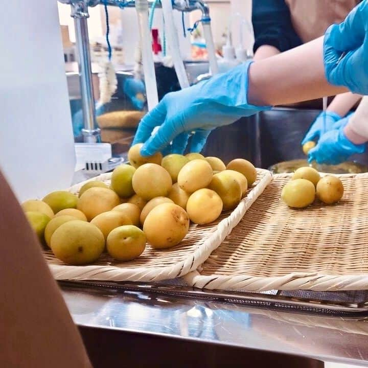 日本工学院さんのインスタグラム写真 - (日本工学院Instagram)「応用生物学科の学生が、食品製造実習に取り組んでいる様子💁‍ . 昔ながらの梅干しづくりに挑戦しました👵 . . 「#日本工学院」をチェック！！ 学生が投稿したリアルな日常風景を見ることができますよ！ . . #nihonkogakuin #専門学校 #日本工学院八王子専門学校 #日本工学院専門学校 #教職員投稿写真 #応用生物学科 #若きつくりびと #science #サイエンス #白衣 #バイオテクノロジー #梅干し #梅干しづくり #梅干し作り」7月7日 12時25分 - nihonkogakuin