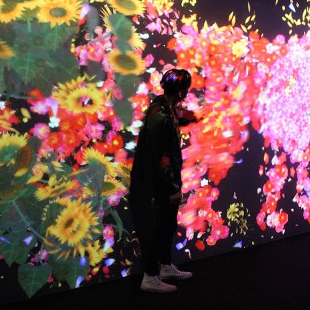 poroco（ポロコ）さんのインスタグラム写真 - (poroco（ポロコ）Instagram)「明日からスタート！「STV創立65周年記念 チームラボ 学ぶ！未来の遊園地と、花と共に生きる動物たち」  本日、内覧会へ行って体験してきました。世界中で展開しているアート集団「チームラボ」の展覧会が、札幌芸術の森美術館にて開幕します。  見て触れることができる、美しい創造的なアート体験。自分でお絵描きした魚が、即時にアート空間に加わったり、世界で開催中の展覧会と繋がっていて、海外で描かれた魚が、札幌の会場に登場したり…。不思議な体験。子どもはもちろん、大人も楽しめます。  詳細は、近日中にporoco公式サイトにてアップ予定！  【会場】札幌芸術の森美術館 【期間】7/8(土) ～9/3(日) 【時間】月～金曜 9:45～ 17:30、土・日曜、祝日 8:30～17:30（最終入場 17:00まで） 【料金】中学生以上1,500円、3歳以上800円 ※土・日曜、祝日と8/10～8/18日は日時指定入場券が必要です  https://www.stv.jp/event/team-lab/index.html」7月7日 18時08分 - poroco_magazine