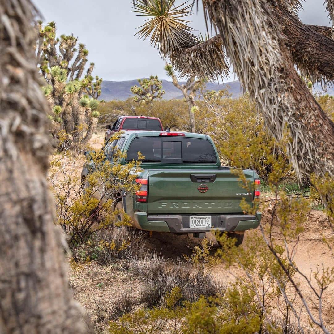 Nissanさんのインスタグラム写真 - (NissanInstagram)「Watch a little throwback of the Nissan Frontier tackling the Mojave Road with a front suspension that helps it maintain grip in different conditions. ⛰️🤩  #Nissan #NissanFrontier #MojaveTrail #Truck #Overlanding」7月9日 22時30分 - nissan