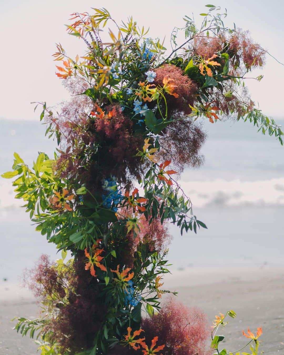 座間アキーバさんのインスタグラム写真 - (座間アキーバInstagram)「Flowers by the Sea   #akivazama #hanatombo」7月7日 14時51分 - akivaz