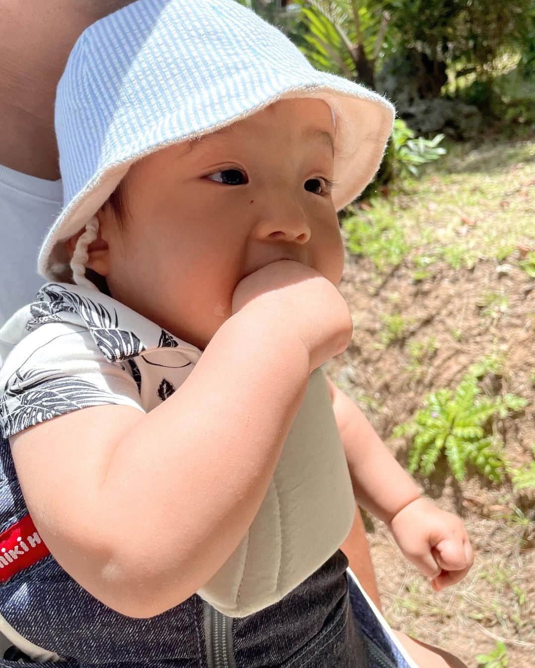 阪井あゆみさんのインスタグラム写真 - (阪井あゆみInstagram)「少し早めの夏旅行に👨‍👩‍👦‍👦初めての石垣島です。川平湾のグラスボートからウミガメが見れました🐢🫶🏻動画には撮れませんでしたが凄く珍しく幸運だったと船長さん！ ゆっくりのんびり旅をテーマに掲げて…家族みんなで楽しみたいと思います☺️  #夏休み#石垣島#沖縄」7月7日 16時01分 - ayumisakai0121