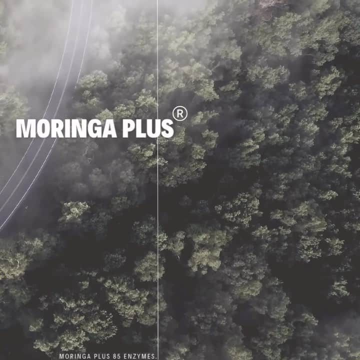 脇田恵子のインスタグラム：「Heal your life live yourself Energie charged,  #superfood'sMoringa +  #Enzyme. 🌱 Launched in 2023.   #モリンガプラス  輝く日々に+🌱  85種の　#発酵酵素  ✖️ #MORINGA エキス  #スーパーフード モリンガ  の恵み  #酵素ドリンク できました🌱✨」