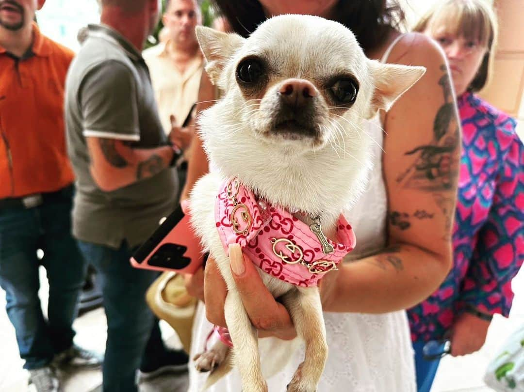 宮本エリアナさんのインスタグラム写真 - (宮本エリアナInstagram)「Kawaii🩷🩷🩷 わんころ🐶🫶🏽  #cuet#dog#monaco」7月7日 18時16分 - arianamiyamoto