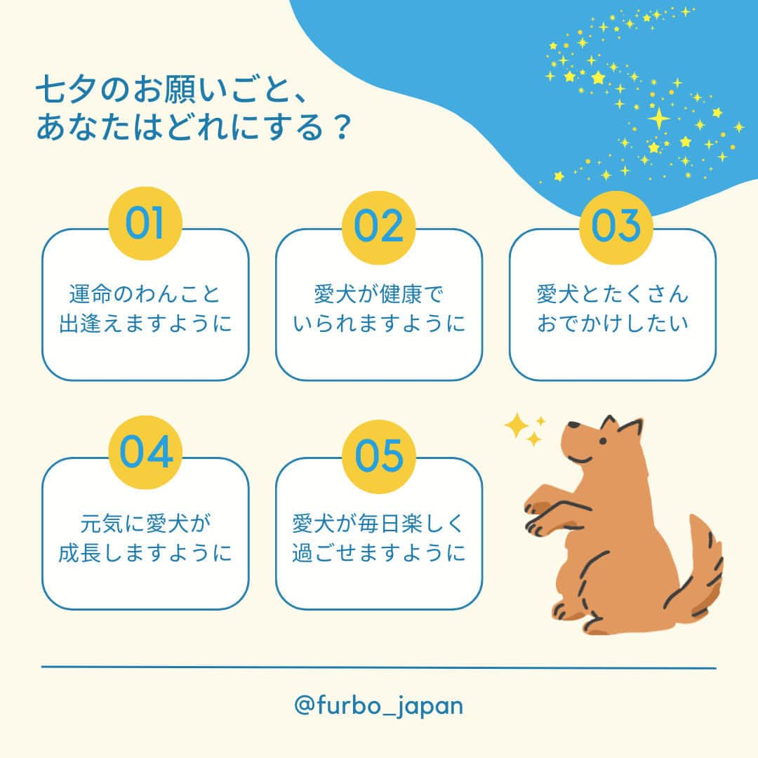 Furbo ドッグカメラのインスタグラム