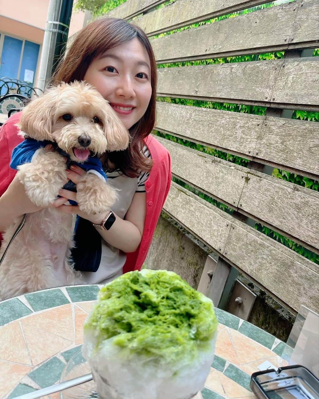 佐竹明咲美のインスタグラム：「. かき氷も食べました🍧 天然氷は頭がキーンとならない🧊  ベルくんは、あとでおやつあげるね🙏🍪  #軽井沢　#旧軽井沢  #ちもと総本店  #わんことお出かけ #わんこ旅 #マルプー　#かき氷」