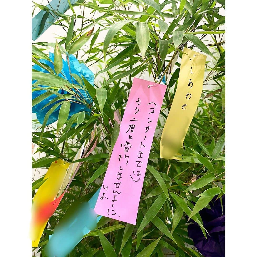 松本伊代さんのインスタグラム写真 - (松本伊代Instagram)「今日は、 7月7日七夕🎋  ビクターさんにお邪魔して、 LIVEの打ち合わせをしてきました♪ どんなセットリストになるか、 皆様お楽しみに😊  帰りに 七夕の短冊に願いを書いてきました✍️  元気いっぱいで、 皆様とお会いできますように🙏  テイク1は、 漢字間違えました〜笑笑  #七夕 #短冊 #願い事 #松本伊代 Live Tour 2023 #セットリスト #ビクター #ニッパーくん」7月7日 19時25分 - iyo14_official