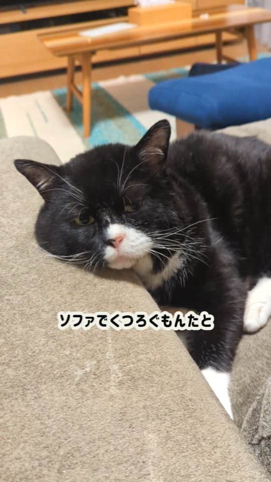 もんたの日常のインスタグラム