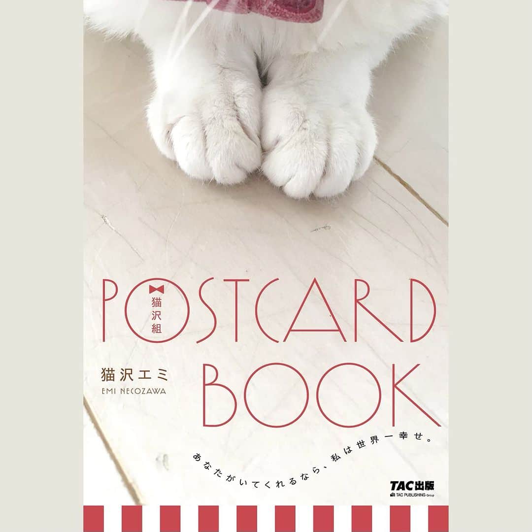 猫沢エミさんのインスタグラム写真 - (猫沢エミInstagram)「《猫沢組🎀POSTCARDBOOK  あなたがいてくれるなら、私は世界一幸せ。》  本日よりAmazonでご予約開始しました（8月31日発売） TAC出版 刊　¥1.980   🐈メインアカウント @necozawaemi のストーリーズにリンクup❣️またはAmazonにて「猫沢組」で検索を🔍  私が愛猫たちから教わった生きるために大切なこと。  美しい日本語とフランス語が織りなす、エスプリの効いたフレンチタッチのポストカード集。  傷ついた友達に。  日々を懸命に生きるあなた自身へ。  そして大切な誰かに送りたくなる、 猫沢組が贈る珠玉の言葉たち。  🐾　🐾　🐾　🐾　🐾  ①   自信ってね、人に見せびらかすためにあるものじゃないのよ。〝自分を信じる〟と書いて、自信。誰も自分のことを見てくれない時も、自分だけは自分のことを見捨てない。  それが本当の自信よ。  La confiance en soi, ce n’est pas quelque chose qu’on affiche pour les autres. C’est croire en soi, pour soi. Même lorsque personne ne vous accorde le moindre regard, continuez à croire en vous. C’est ça, avoir vraiment confiance en soi.  #猫沢組　#猫沢組ポスカブック　#猫パリ　#猫沢ピキ　#猫沢イオ　#ピガ兄　#ユピ坊」7月7日 19時35分 - necozawaemi