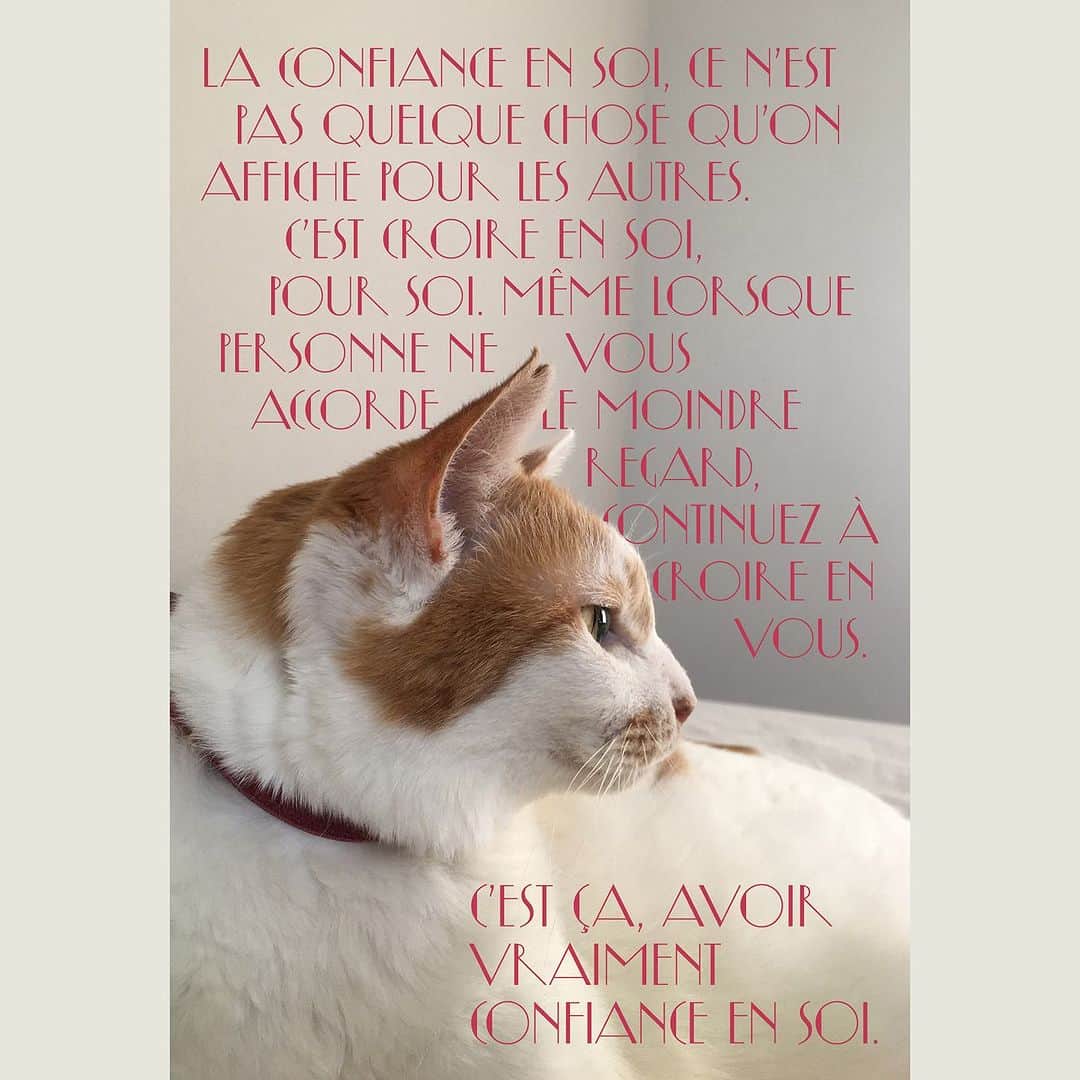 猫沢エミさんのインスタグラム写真 - (猫沢エミInstagram)「《猫沢組🎀POSTCARDBOOK  あなたがいてくれるなら、私は世界一幸せ。》  本日よりAmazonでご予約開始しました（8月31日発売） TAC出版 刊　¥1.980   🐈メインアカウント @necozawaemi のストーリーズにリンクup❣️またはAmazonにて「猫沢組」で検索を🔍  私が愛猫たちから教わった生きるために大切なこと。  美しい日本語とフランス語が織りなす、エスプリの効いたフレンチタッチのポストカード集。  傷ついた友達に。  日々を懸命に生きるあなた自身へ。  そして大切な誰かに送りたくなる、 猫沢組が贈る珠玉の言葉たち。  🐾　🐾　🐾　🐾　🐾  ①   自信ってね、人に見せびらかすためにあるものじゃないのよ。〝自分を信じる〟と書いて、自信。誰も自分のことを見てくれない時も、自分だけは自分のことを見捨てない。  それが本当の自信よ。  La confiance en soi, ce n’est pas quelque chose qu’on affiche pour les autres. C’est croire en soi, pour soi. Même lorsque personne ne vous accorde le moindre regard, continuez à croire en vous. C’est ça, avoir vraiment confiance en soi.  #猫沢組　#猫沢組ポスカブック　#猫パリ　#猫沢ピキ　#猫沢イオ　#ピガ兄　#ユピ坊」7月7日 19時35分 - necozawaemi