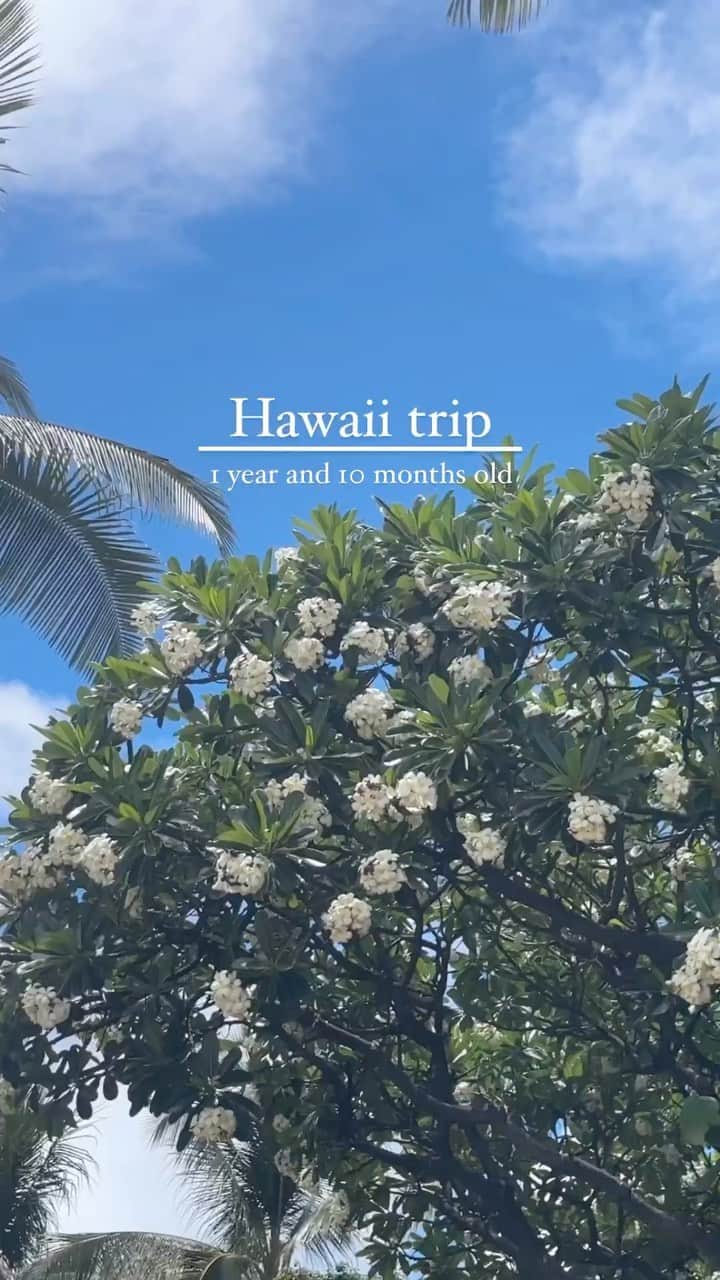 舟山久美子（くみっきー）のインスタグラム：「🌴思い出記録🗒  #hawaii #memories #family #ハワイ　#ハワイ旅行 #子連れハワイ」