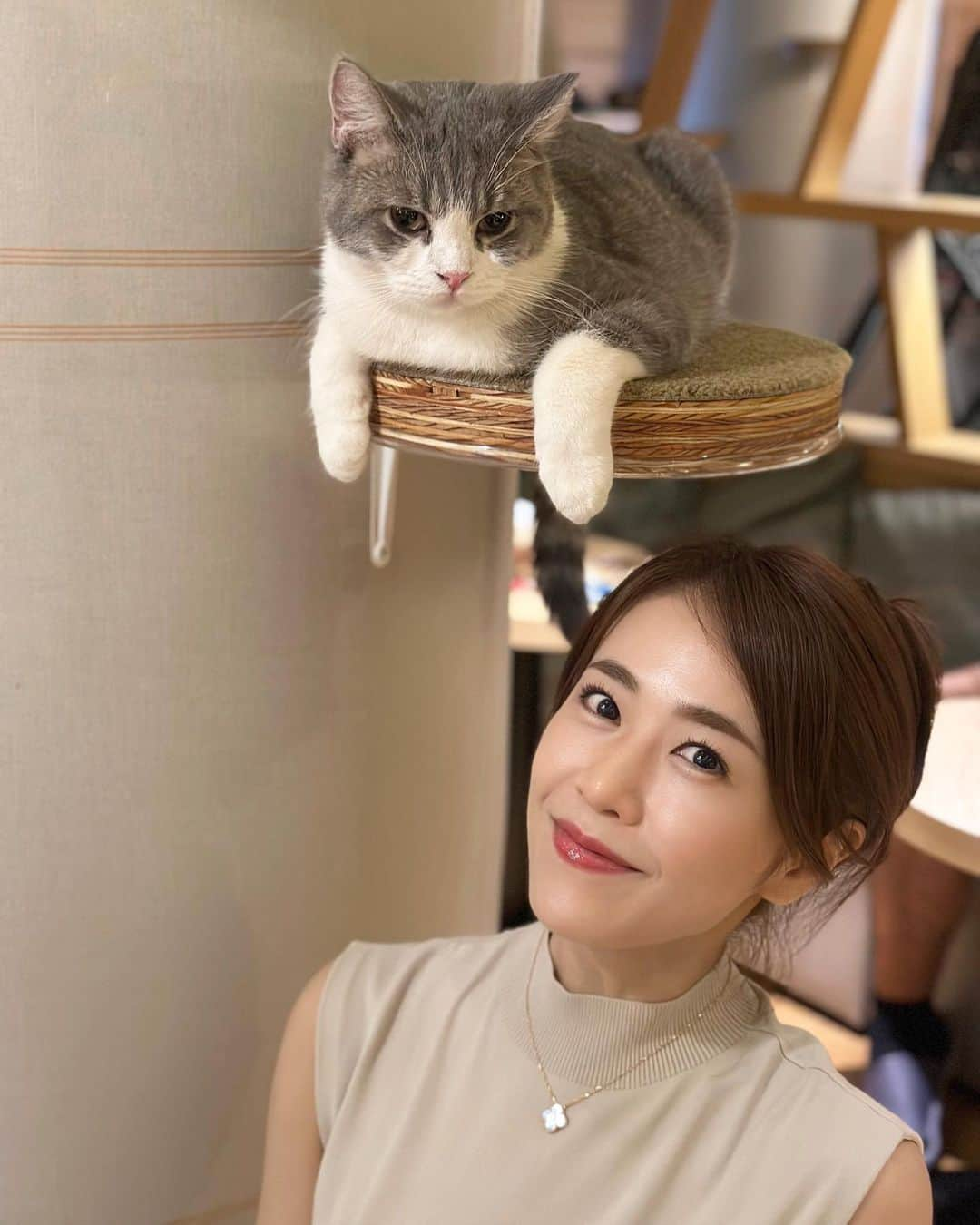 しろまっするさんのインスタグラム写真 - (しろまっするInstagram)「･ 先日、猫カフェに行ってきました🐈 私が行ったのは新宿店 @mocha.sinjyuku ✨  猫と戯れたのは人生初体験でした"ʅ(ᐙʅ)笑  本も沢山あるし、WiFi、充電コード、ドリンクバーがあり、ゆっくり寛げる空間📗📚  新宿のど真ん中にある癒しの空間でした·͜· 🌼 猫好きさん、癒されたい方にオススメのカフェです☕️✨️  #猫カフェmocha #猫カフェ #pr #新宿猫カフェ #新宿カフェ #癒し空間 #癒しの時間 #猫スタグラム #猫のいる生活 #猫好き #犬好き #東京カフェ #カフェ好きと繋がりたい #しろまっする」7月7日 20時15分 - shiroancoco