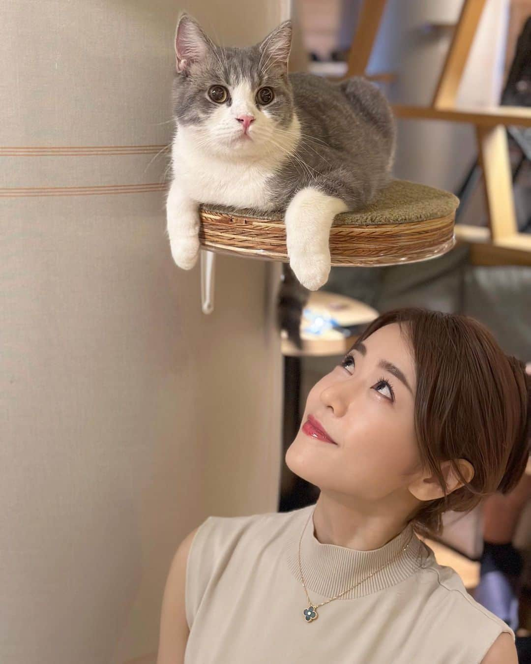 しろまっするさんのインスタグラム写真 - (しろまっするInstagram)「･ 先日、猫カフェに行ってきました🐈 私が行ったのは新宿店 @mocha.sinjyuku ✨  猫と戯れたのは人生初体験でした"ʅ(ᐙʅ)笑  本も沢山あるし、WiFi、充電コード、ドリンクバーがあり、ゆっくり寛げる空間📗📚  新宿のど真ん中にある癒しの空間でした·͜· 🌼 猫好きさん、癒されたい方にオススメのカフェです☕️✨️  #猫カフェmocha #猫カフェ #pr #新宿猫カフェ #新宿カフェ #癒し空間 #癒しの時間 #猫スタグラム #猫のいる生活 #猫好き #犬好き #東京カフェ #カフェ好きと繋がりたい #しろまっする」7月7日 20時15分 - shiroancoco