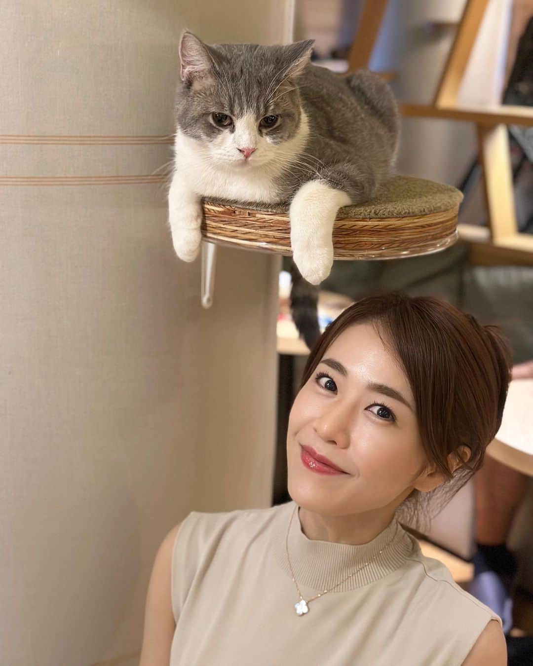 しろまっするのインスタグラム：「･ 先日、猫カフェに行ってきました🐈 私が行ったのは新宿店 @mocha.sinjyuku ✨  猫と戯れたのは人生初体験でした"ʅ(ᐙʅ)笑  本も沢山あるし、WiFi、充電コード、ドリンクバーがあり、ゆっくり寛げる空間📗📚  新宿のど真ん中にある癒しの空間でした·͜· 🌼 猫好きさん、癒されたい方にオススメのカフェです☕️✨️  #猫カフェmocha #猫カフェ #pr #新宿猫カフェ #新宿カフェ #癒し空間 #癒しの時間 #猫スタグラム #猫のいる生活 #猫好き #犬好き #東京カフェ #カフェ好きと繋がりたい #しろまっする」