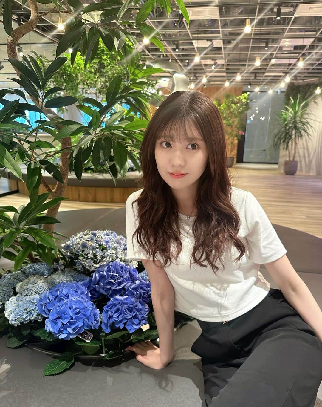 小玉梨々華のインスタグラム：「本物の紫陽花を室内で見つけた🪄」
