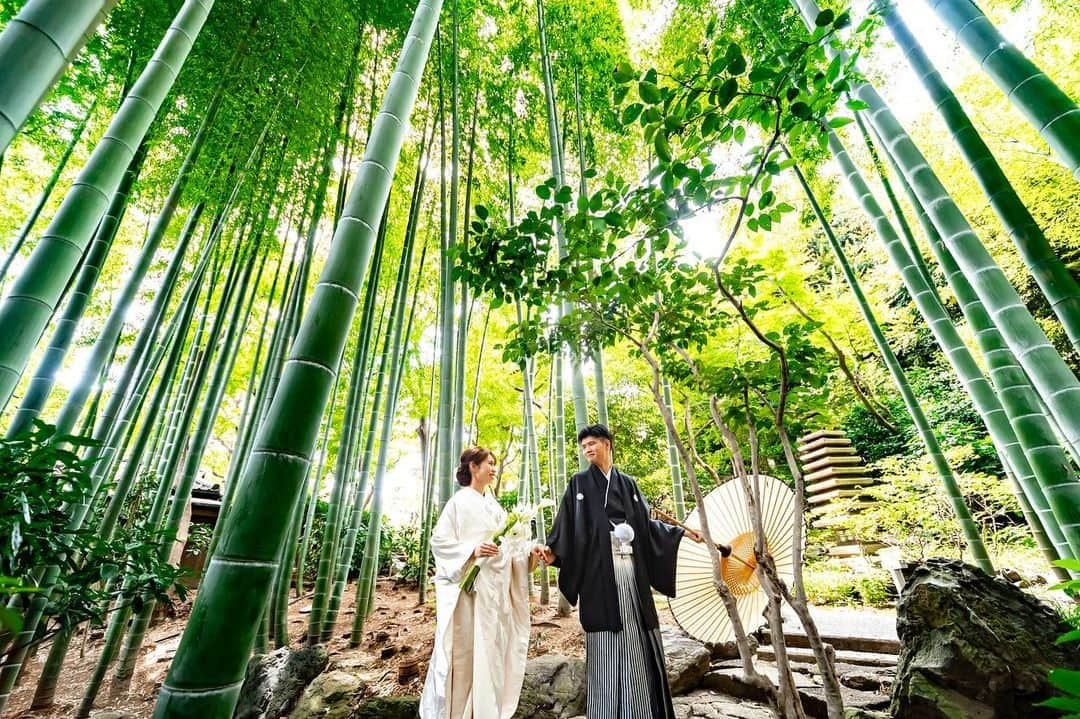 八芳園さんのインスタグラム写真 - (八芳園Instagram)「本日7月7日は「七夕」🎋🌃  七夕飾りに使用する「笹竹」は、 古来より神聖な植物とされていました。  天に向かいまっすぐ伸びる生命力や、 葉っぱに殺菌作用があることから、 厄除けの力があると信じられていたそうです。  今年の七夕は、 大切な誰かを想って、 これからの未来に想いを馳せて、 短冊に願い事を書きましたか？  想いや願いを夜空に浮かべる、 すてきな七夕をお過ごしください🌌  🎋🌌🎋🌌  #八芳園 #結婚式場 #日本庭園 #結婚式 #7月7日 #七夕 #七夕飾り #笹竹 #ロビー #インテリア #装飾 #写真好きな人と繋がりたい #日本庭園 #日本文化 #七夕まつり #🎋 #🌌 #japan_of_insta #jp_mood #japan_daytime_view #和装 #和装前撮り #和婚 #白無垢 #結婚式 #jp_views #special_spot #bestphoto_japan #instravel #team_jp_ #japantravel #japaneseculture」7月7日 21時02分 - happoen