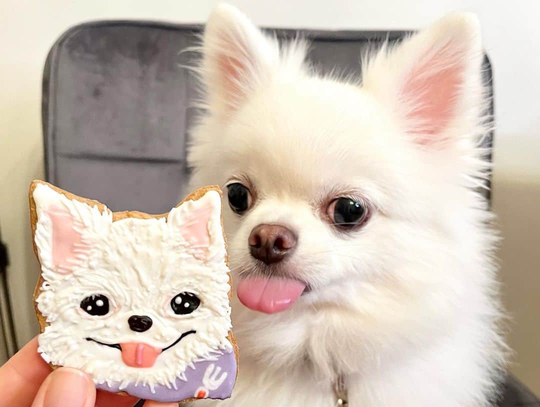 莉奈さんのインスタグラム写真 - (莉奈Instagram)「⁡ TINKKKKKK!💖 ティンクの似顔絵クッキー🥹！ すごすぎる🙇🏻‍♀️ thank you🍪🍪🍪 ⁡ #愛犬」7月7日 21時24分 - rinascollage