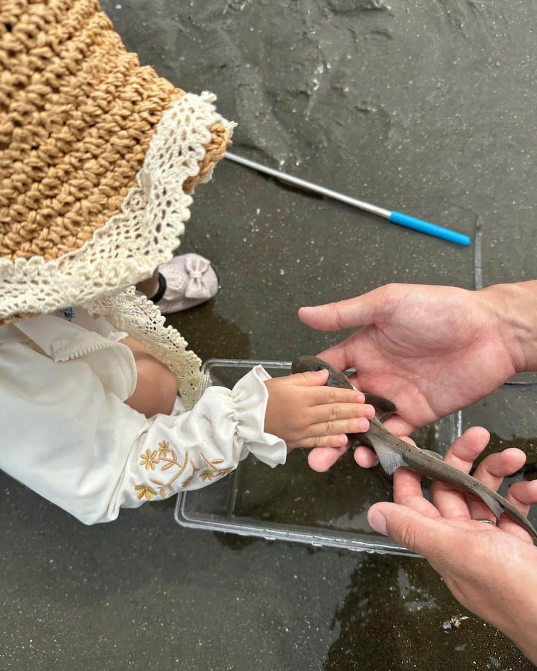 紘毅さんのインスタグラム写真 - (紘毅Instagram)「砂浜で魚もカニもサメまで触れて大興奮のプニたんでした。」7月7日 21時59分 - hirokinginging