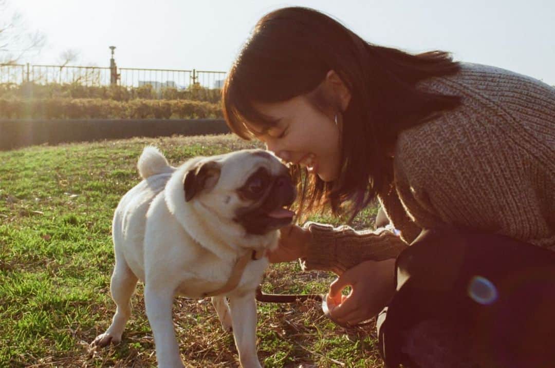 高瀬真奈さんのインスタグラム写真 - (高瀬真奈Instagram)「もうすぐ２年！  ぱふ〜 時の流れははやいね〜  繁殖犬としてケージで3年間生きていた彼女は、うちに来てたくさんの初めてを経験して、その度にキラキラして、私たちに幸せをくれて、まさに天使！と思う。  一緒に暮らしてみて初めて知ったこともたくさんあったなあ。  @eri_krmc えりさんが携わっている @cuddle_magazine でもちょっぴりお話しさせてもらってます。置いてあるところに是非もらいに行ってみてくださいませ🌱  お犬たちの幸せに繋がること私も何かできたら良いな〜…とアイデアを膨らませ中💡というかもう膨らんできた！💡あとは、動くだけかな〜🐕✨」7月7日 22時27分 - manatakase_