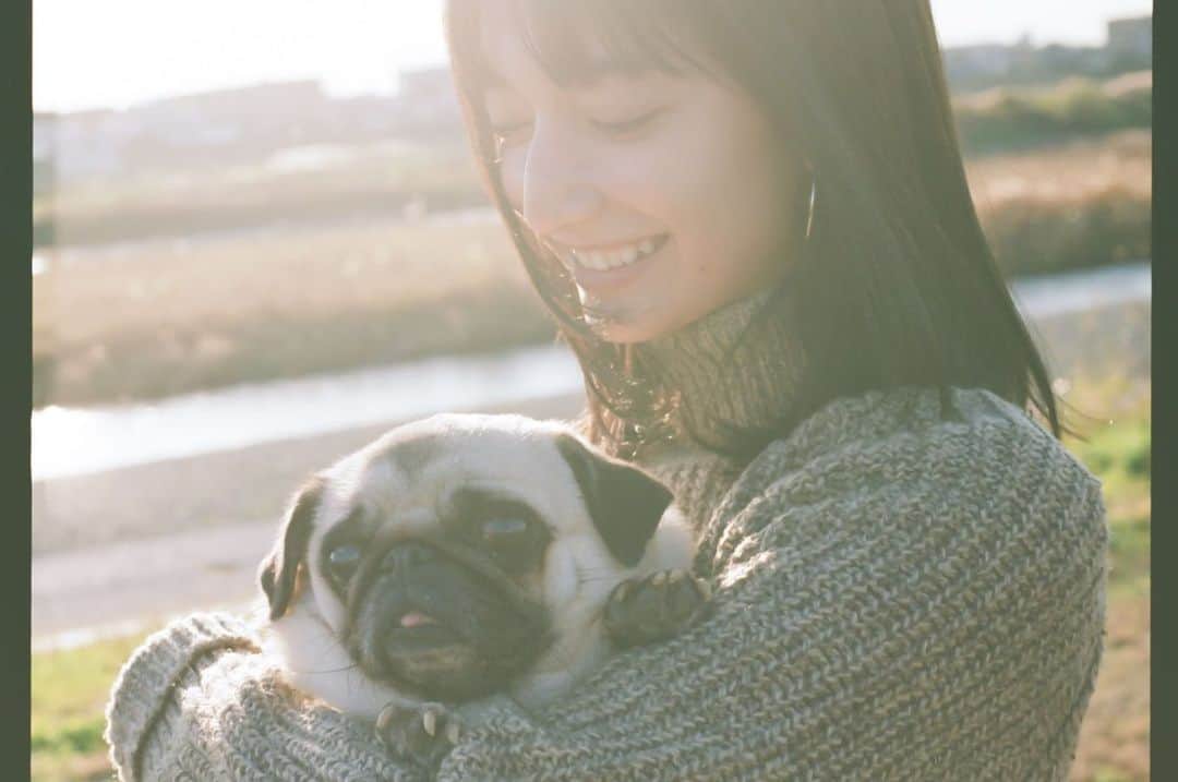 高瀬真奈さんのインスタグラム写真 - (高瀬真奈Instagram)「もうすぐ２年！  ぱふ〜 時の流れははやいね〜  繁殖犬としてケージで3年間生きていた彼女は、うちに来てたくさんの初めてを経験して、その度にキラキラして、私たちに幸せをくれて、まさに天使！と思う。  一緒に暮らしてみて初めて知ったこともたくさんあったなあ。  @eri_krmc えりさんが携わっている @cuddle_magazine でもちょっぴりお話しさせてもらってます。置いてあるところに是非もらいに行ってみてくださいませ🌱  お犬たちの幸せに繋がること私も何かできたら良いな〜…とアイデアを膨らませ中💡というかもう膨らんできた！💡あとは、動くだけかな〜🐕✨」7月7日 22時27分 - manatakase_