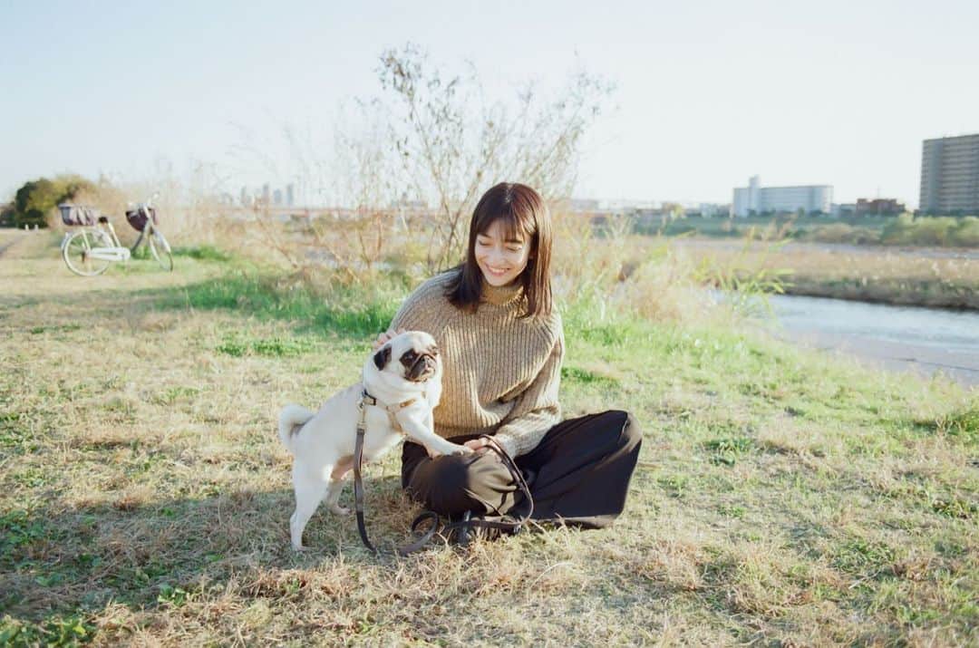 のインスタグラム：「もうすぐ２年！  ぱふ〜 時の流れははやいね〜  繁殖犬としてケージで3年間生きていた彼女は、うちに来てたくさんの初めてを経験して、その度にキラキラして、私たちに幸せをくれて、まさに天使！と思う。  一緒に暮らしてみて初めて知ったこともたくさんあったなあ。  @eri_krmc えりさんが携わっている @cuddle_magazine でもちょっぴりお話しさせてもらってます。置いてあるところに是非もらいに行ってみてくださいませ🌱  お犬たちの幸せに繋がること私も何かできたら良いな〜…とアイデアを膨らませ中💡というかもう膨らんできた！💡あとは、動くだけかな〜🐕✨」