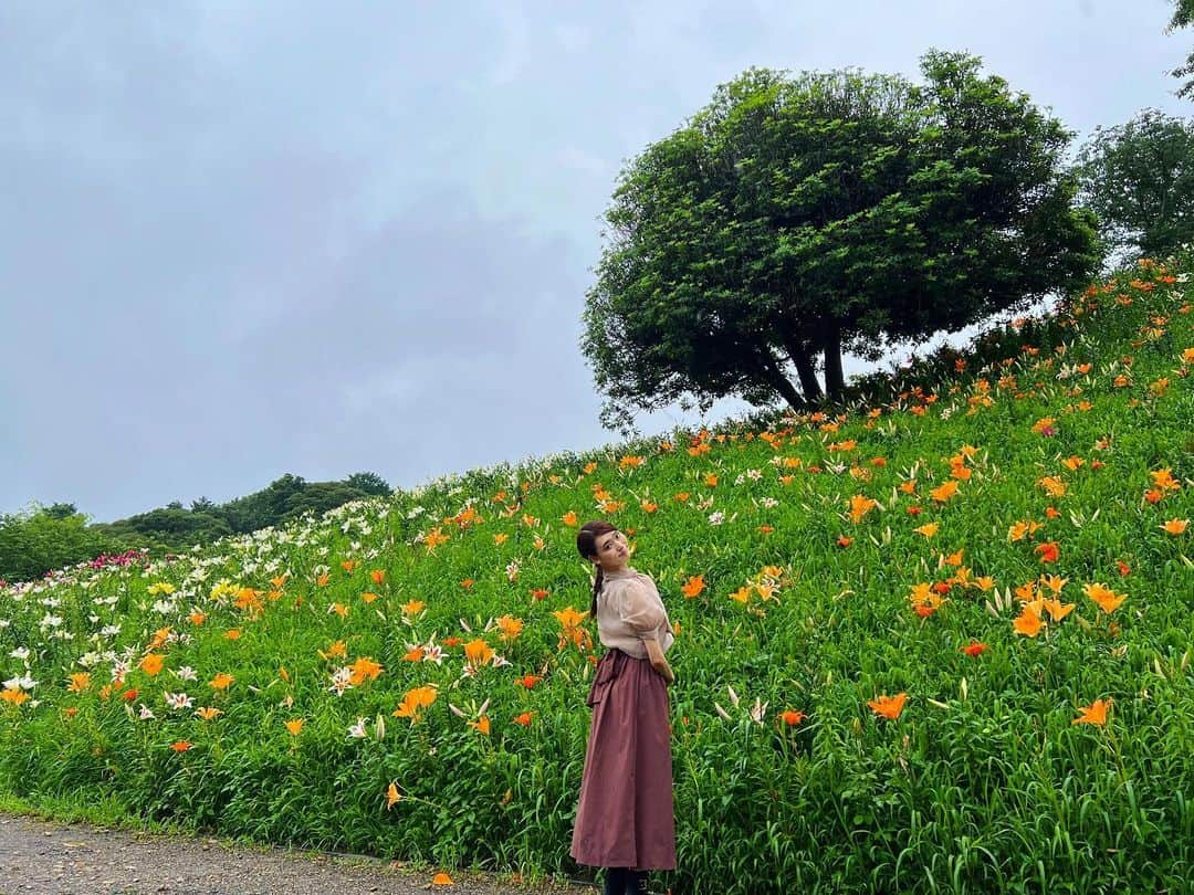 天玲美音さんのインスタグラム写真 - (天玲美音Instagram)「今日は七夕ですね🎋 健康で楽しい毎日を☺️ MION TENREI  #大きな木 #空 #百合 #百合の花 #緑 #空が好き #空好き #そらすきな人と繋がりたい #空が好きな人と繋がりたい #自然photo #七夕 #振り返り美音 #オレンジの百合 #白い百合 #花のある暮らし #花のある生活 #miontenrei2023」7月7日 22時50分 - miontenrei