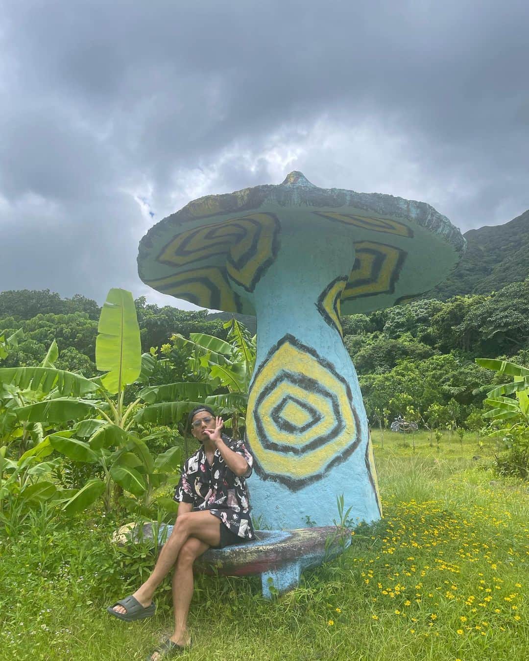 たくのインスタグラム：「🍄🍄🍄」