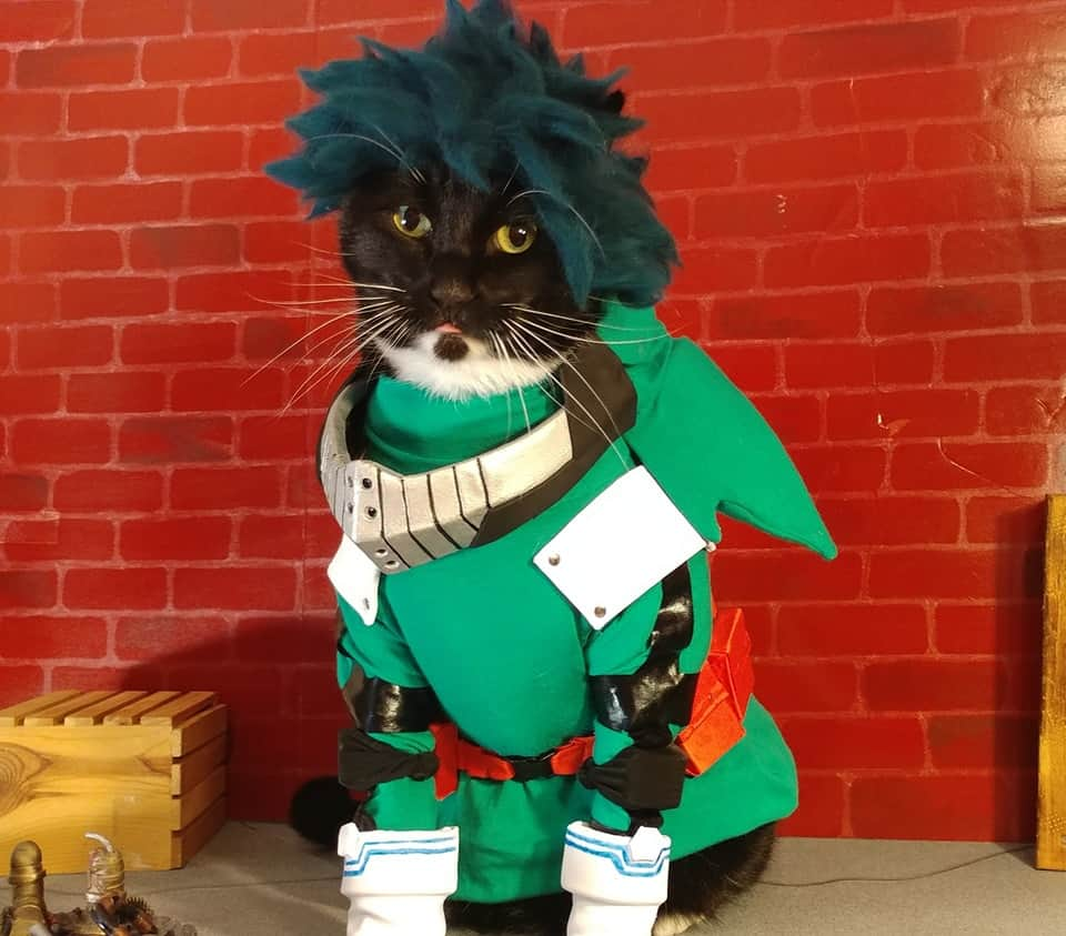 猫コスプレさんのインスタグラム写真 - (猫コスプレInstagram)「Meow Hero Academia  #myheroacademia #bokunoheroacademia #deku #shotaaizawa #izukumidoriya #EraserHead . . . . #catcosplay #cosplay #cosplayer #cat #catcostume #catsinclothes #petclothes #PetCostume #petarmor #catarmor #funnycats #humor #puns #anime #mha #bnha #bnhacosplay #bnhafanart #mhacosplay #dekucosplay #aizawashouta #aizawa #mhacosplay #myheroacademiacosplay #bokunoheroacademiacosplay」7月8日 0時10分 - cat_cosplay