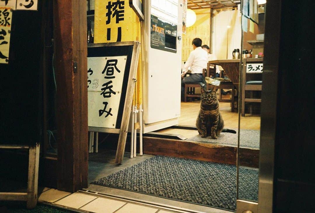 ハマ・オカモトさんのインスタグラム写真 - (ハマ・オカモトInstagram)「series_Elephant In The Room #3」7月8日 1時07分 - hama_okamoto