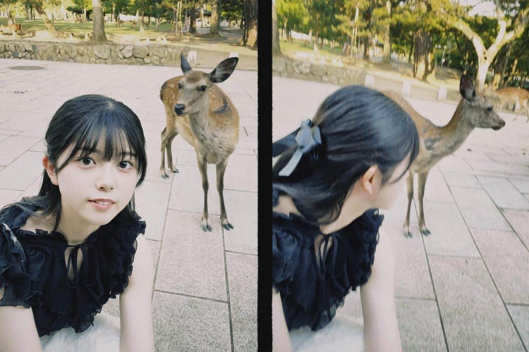 坂下真心のインスタグラム：「⌇ 𝖭𝖺𝗋𝖺 𝗍𝗋𝗂𝗉 ⁡ ⁡ 夏休み1日目に日帰り一人旅してきました ⁡ 自然と動物がたまらなく好きだ〜癒された֊ ̫ ֊ ⁡ よもぎ餅も美味しかった🌿𓈒𓏸 ⁡ ⁡ ⁡ #05 #idol #nmb48 #nmb #jk #ljk  #奈良 #奈良公園 #奈良観光 #奈良食べ歩き #奈良グルメ  #photography #like4like #f4f」
