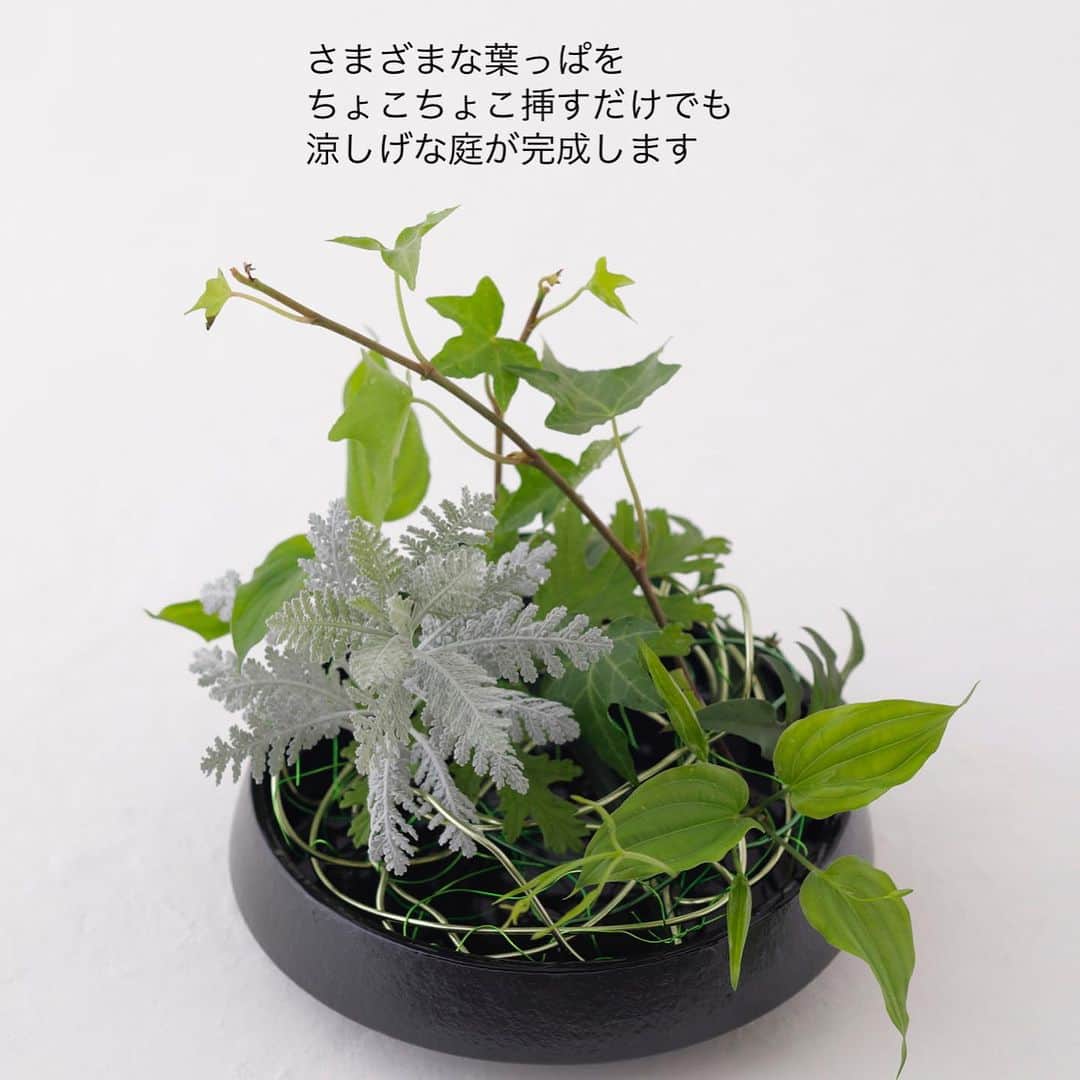 雑誌『花時間』さんのインスタグラム写真 - (雑誌『花時間』Instagram)「卓上に、涼しげな庭を作ってみませんか？  花時間（@hanajikan_magazine）です。  用意するものは ・さまざまな色形のグリーン  ・100均などで売られているカラーワイヤー  ・浅めの器  グリーンは、お花を飾った後の残りや、庭で摘んだものでも十分です！  ぐるぐる、くねくね曲げたワイヤーの隙間に、葉っぱを挿していくだけ！  ワイヤーの光沢が涼しげなアクセントを添えてくれるので、挿しすぎずないことがポイントです。  簡単だから、ぜひ、やってみて！  お好みで小花をプラスしても素敵になりますね🎵  明日からも果てしなく、暑い夏が続きます💦💦💦　このアイデアは、そんな毎日には、小さなオアシスになってくれそうです。  では、本日もお疲れさまでした🍉明日も元気smile😊😊😊で素敵な休日をお過ごしください。 byピーターパン  花　@ryohei.konno  写真　@tanabe32   【花時間ニュース】 💜『花時間』から、花の定期便がスタートしました🥰　世界でここだけのバラと旬花が届く嬉しいサービスです💕  💜『花時間2023春夏』〈春のピンク！夏のブルー！〉大好評発売中！  💜『花と短歌でめぐる 二十四節気 花のこよみ』大好評発売中  すべて @hanajikan_magazine のプロフィールのリンクから飛べます✈️  『花時間』本誌や書籍は全国の書店、ネット書店でも発売中✨  #花時間 #グリーン #グリーンのある暮らし #涼しげ #フラワーアレンジ #花が好き #花が好きな人と繋がりたい #花を飾る #花を飾る生活 #花屋さんへ行こう」7月22日 20時06分 - hanajikan_magazine