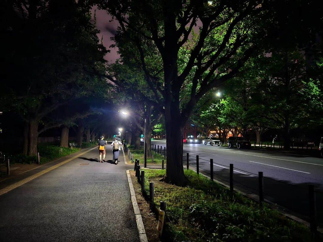 津田大介さんのインスタグラム写真 - (津田大介Instagram)「夜の銀杏並木もいいですね。」7月22日 20時25分 - tsuda