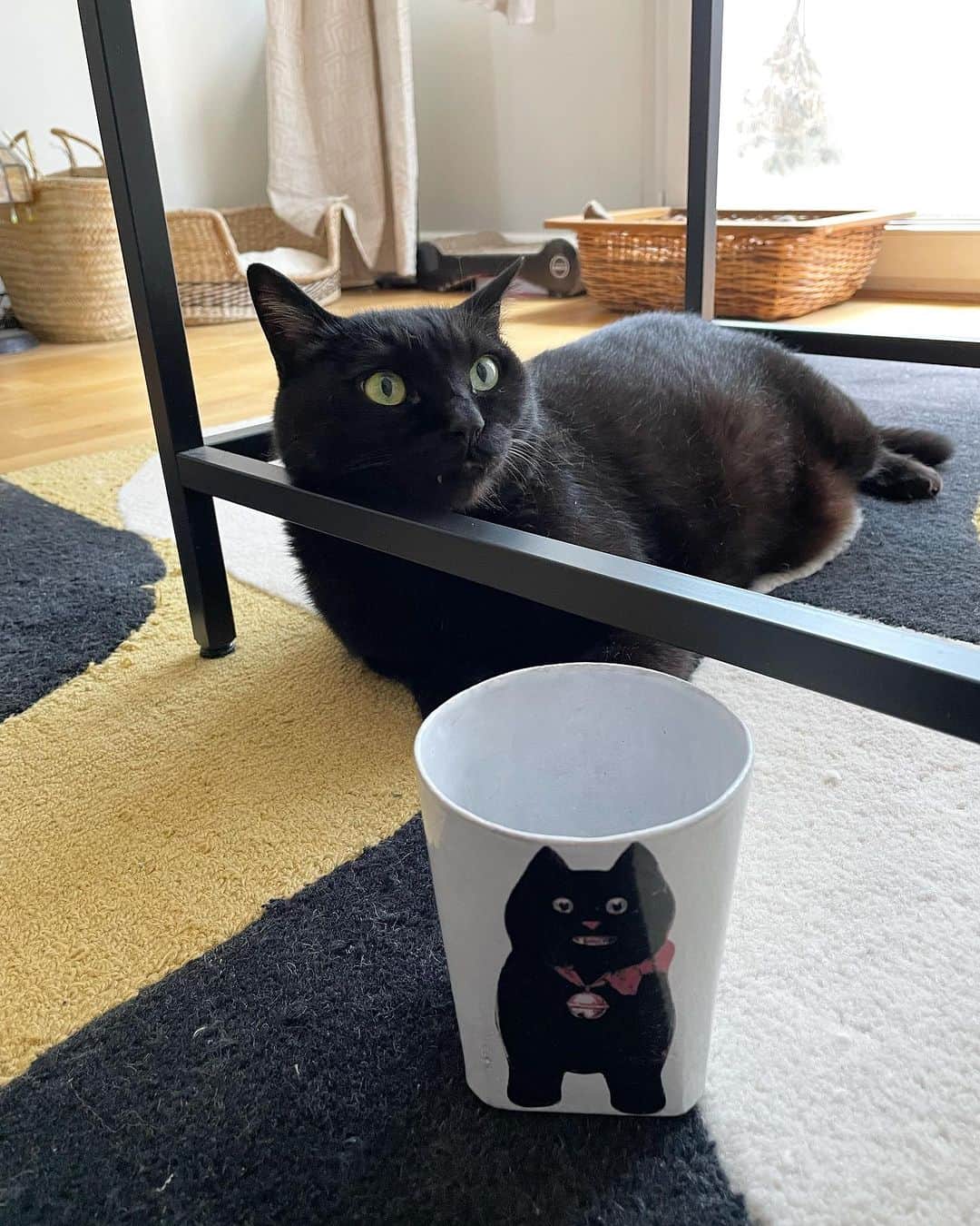 猫沢エミのインスタグラム：「ママがふみこ姐から、遅い誕生日プレゼントをもらった。  鈴がついている包みをあけると、そこにいたのはボクでした。  ママが「このニンゲンの歯みたいなのがついてる笑顔のズングリ黒猫、ピガにそっくりだねぇ」と喜んだ。  ボクは、ママが発した言葉のどこらへんが褒め言葉なのか、しばらく考えこんだ。  これは @astierdevillatte という陶器屋さんのなんですって。  ママがつぶやいた。「これもジョン・デリアンなのかしら？　ひとまず大事なものを入れておこう……あっ、これだ」。  入れたのはボクと坊の毛玉ボールだった。ボクは、ほかに大事なものないのかしらと思った。  ひとまず我が家に家宝が増えました。  ふみこ姐、ありがとう🐈‍⬛♥️  #ピガ兄　#猫パリ　#猫沢エミのインターナショナル五十路ライフシフト  #猫沢エミリーパリへ行く　#瞳の中にまた黒猫が🐈‍⬛」