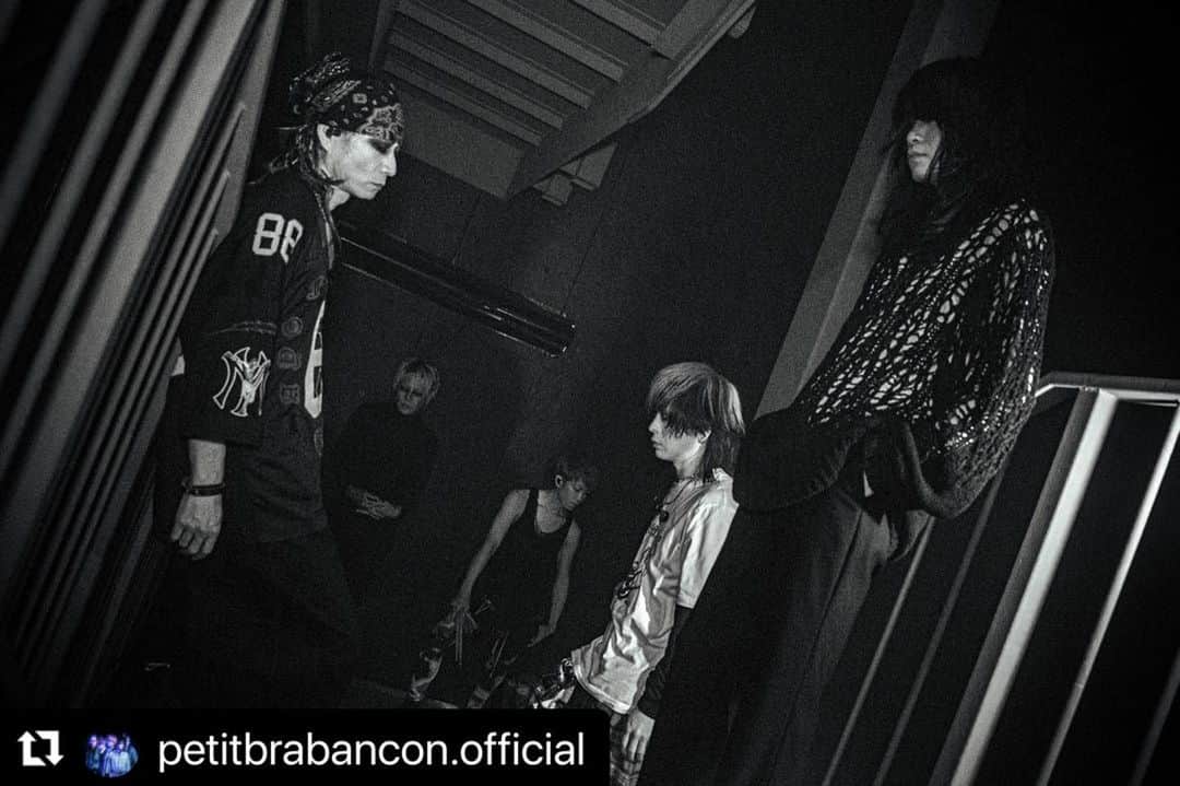 のインスタグラム：「𝙿𝚎𝚝𝚒𝚝 𝙱𝚛𝚊𝚋𝚊𝚗𝚌𝚘𝚗 𝚃𝚘𝚞𝚛 𝟸𝟶𝟸𝟹 「𝙸𝙽𝙳𝙴𝙽𝚃𝙴𝙳 𝙱𝙸𝚃𝙴 𝙼𝙰𝚁𝙺」  𝟕/𝟐𝟐 𝐒𝐄𝐍𝐃𝐀𝐈 𝐆𝐈𝐆𝐒  -𝚗𝚎𝚡𝚝 𝚕𝚒𝚟𝚎-  𝟕/𝟐𝟑 𝐊𝐓 𝐙𝐞𝐩𝐩 𝐘𝐨𝐤𝐨𝐡𝐚𝐦𝐚 𝙾𝙿𝙴𝙽 𝟷𝟽:𝟶𝟶 𝚂𝚃𝙰𝚁𝚃 𝟷𝟾:𝟶𝟶  #petitbrabancon #今日は火花食べてみた」