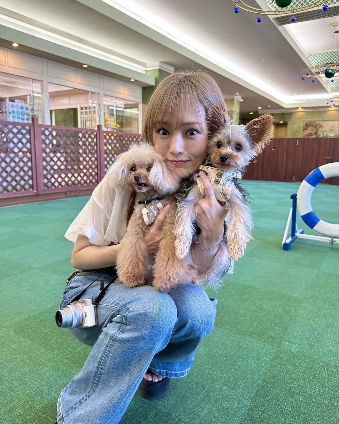 のインスタグラム：「⁡ こないだの連休に父、母、わんこ達と 旅行してきました☺️🫶 ⁡ 何気に初めての岡崎城へ行ったり 遊覧船に乗って、浜名湖の景色を堪能したり🚢🫧 ⁡ 天気は良かったし 美味しいものもいっぱい食べたし 良きリフレッシュでした☀️🌈」