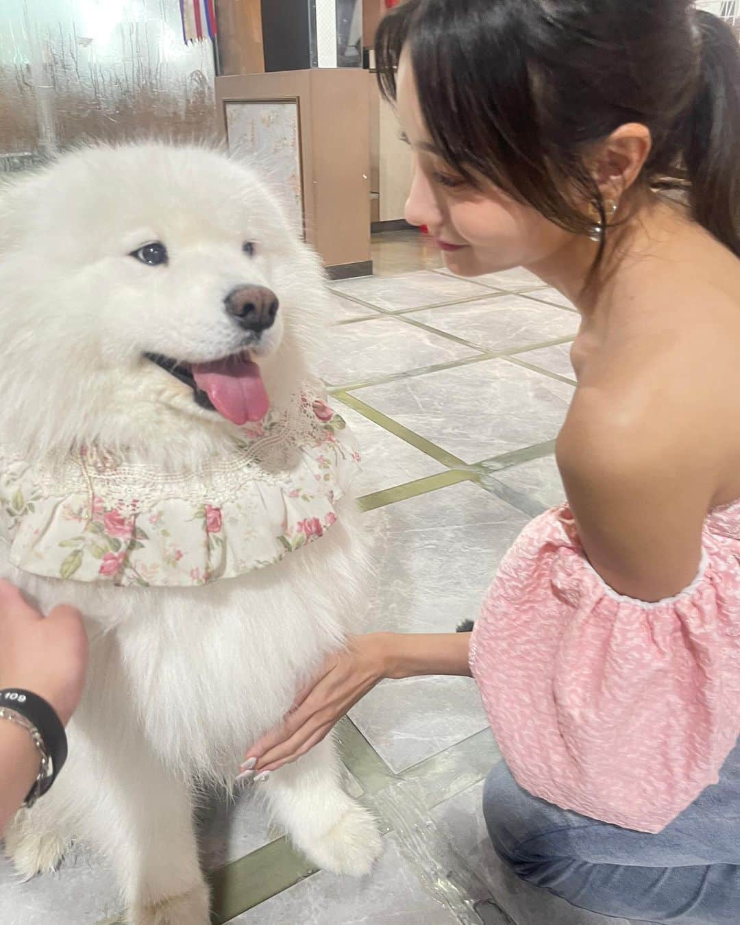 高崎モモコ さんのインスタグラム写真 - (高崎モモコ Instagram)「サモエド天国🥺🐩🐩🐩 . . 🐩【 Winter's Village  겨울이머무는집】 @winters_village  📍韓国.上水(サンス駅)から徒歩数分 . . 今回韓国での1番の目的ともいえる サモエドカフェ🥺💓 雨土砂降りの中頑張って行った笑笑 . たくさんのモフモフが迎えてくれます🥹💭 スタッフさんの管理が行き届いているので環境も良かったしわんこ達幸せそうでした👼 . 他にも写真あるのでまた載せます🐩💓 . . #サモエドカフェ#サモエド#大型犬カフェ #犬カフェ#韓国カフェ#弘大カフェ  #上水カフェ#wintersvillage #samoyed  #大型犬#大型犬のいる生活#大型犬大好き #大型犬好きな人と繋がりたい #韓国コーデ #渡韓情報  #韓国旅行#渡韓日記#渡韓 #ホンデカフェ#韓国情報 #韓国好きな人と繋がりたい  #渡韓記録 #渡韓レポ#関西サロンモデル #関西サロモ#関西フリーモデル#関西モデル  #フリーモデル#関西アパレルモデル#関西インスタグラマー」7月22日 20時53分 - momoko_takasaki