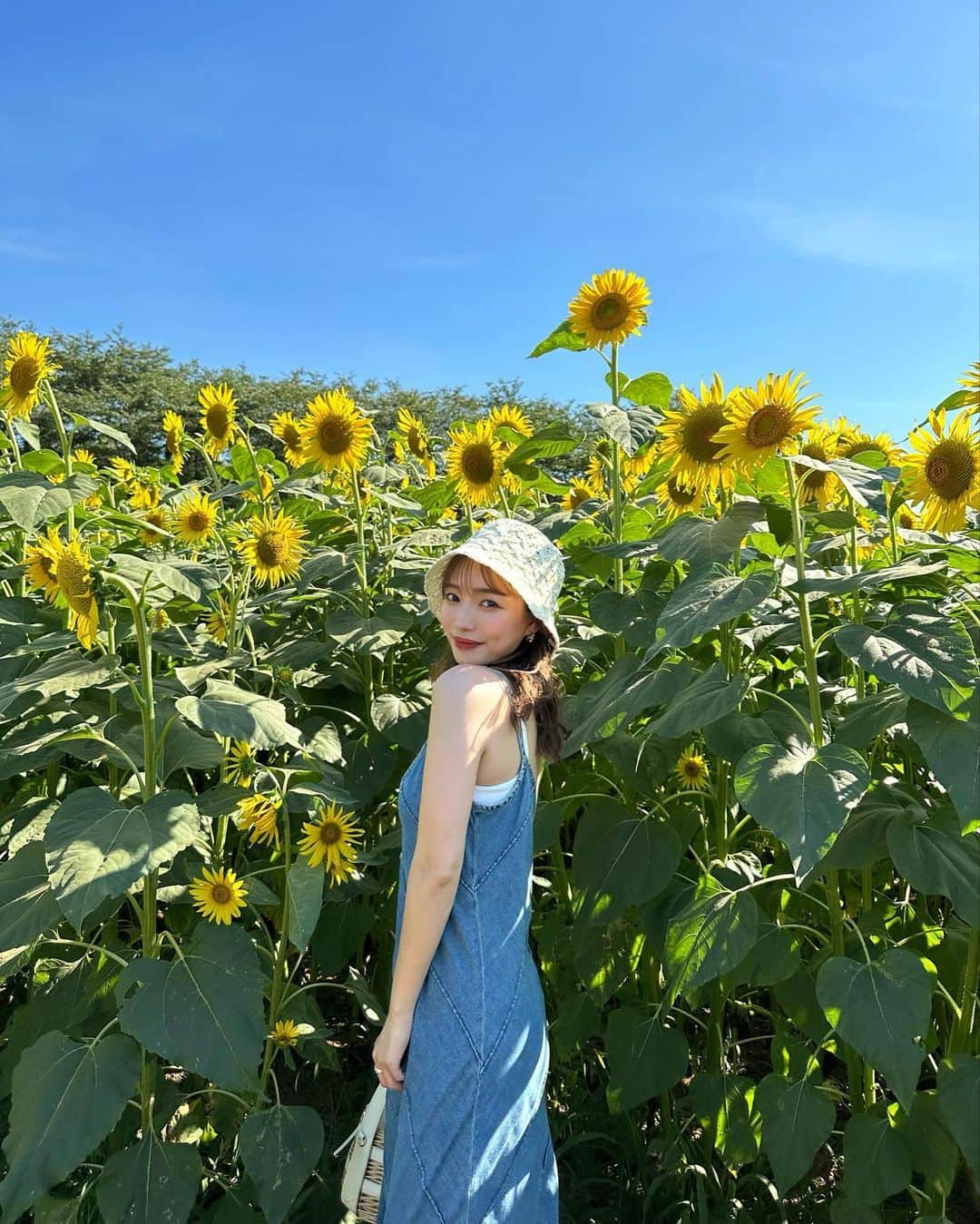 YUKIKOさんのインスタグラム写真 - (YUKIKOInstagram)「. 毎年恒例のひまわり畑🌻 今年は千葉の成田ゆめ牧場に🐝 行く予定だった数日前まで 咲いてなかったみたいだったけど 当日は満開！✨✨ 連日の快晴で綺麗な向日葵が見れた💛  撮影日は7/16です📸  #成田ゆめ牧場 #ひまわり畑 #ひまわり #sunflowers #🌻」7月22日 20時54分 - 128yukinco