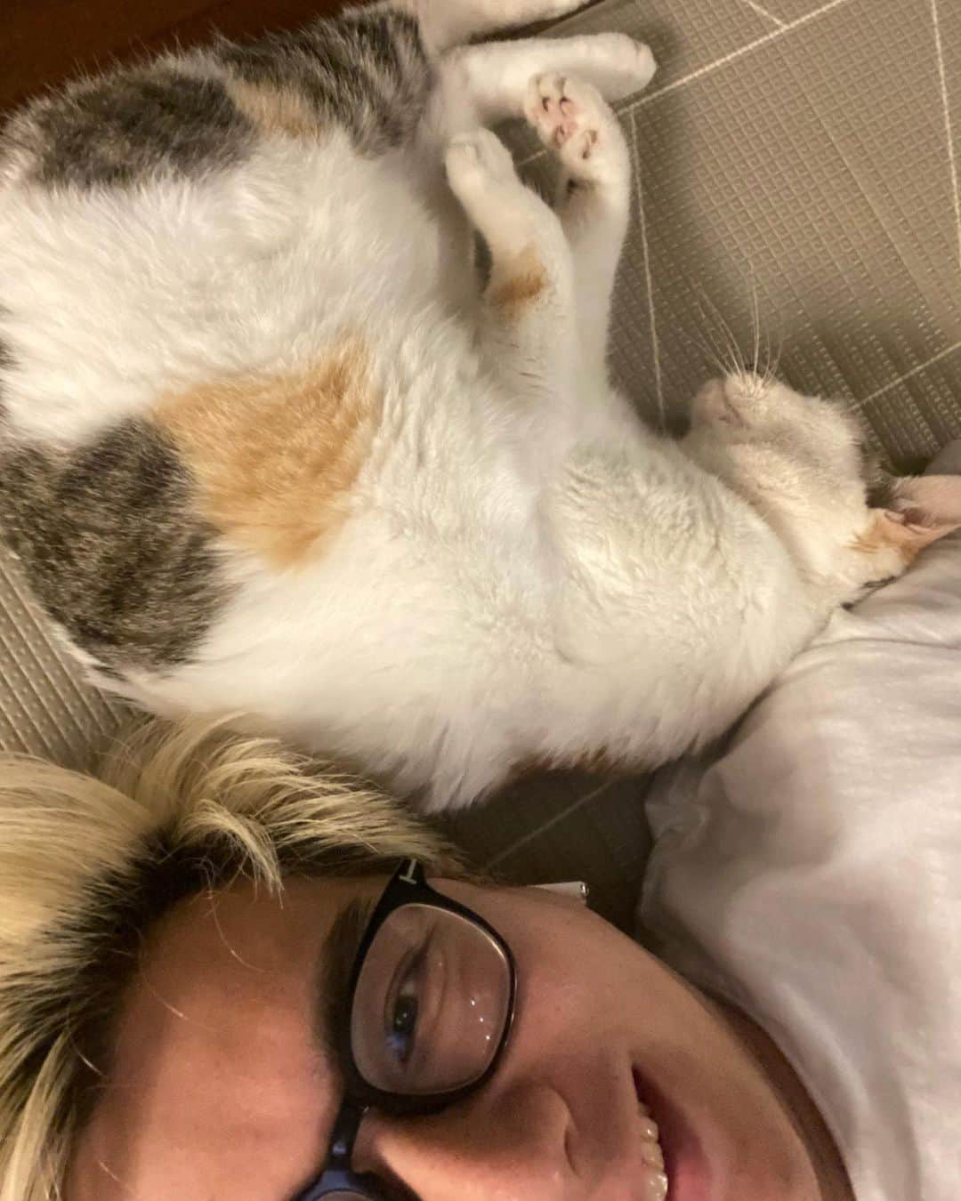 PDRさんのインスタグラム：「🐱💤」