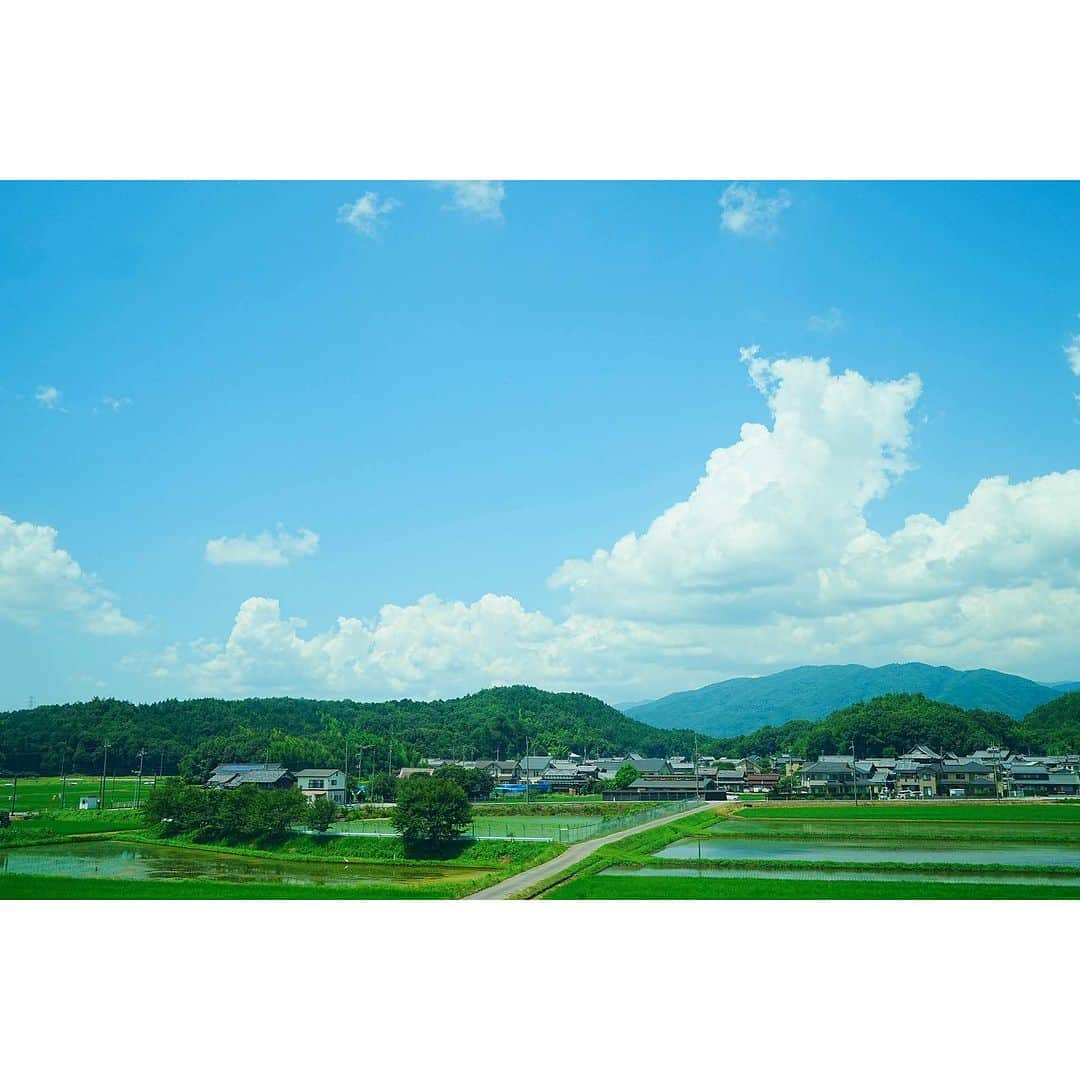 岩原大起のインスタグラム：「お久しぶりの投稿になりました。 本格的な夏到来ですね☀️  先日思わず撮った夏感のある写真です。 熱中症対策を万全にしてお過ごしください！」