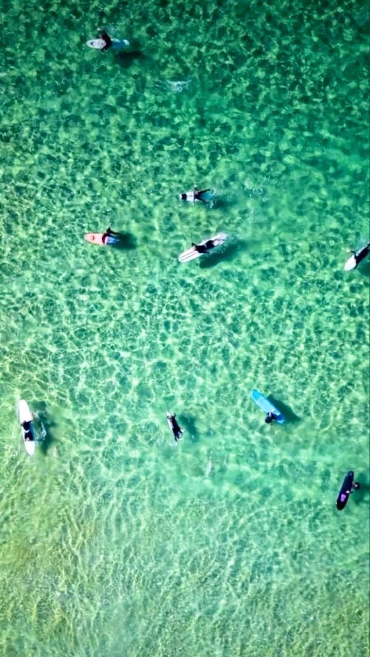 サリー・フィッツギボンズのインスタグラム：「Living limitless on the weekend with @all.pacific experiences like this 🌊🤙🏼 @bennettsurfboardsaus  @mercuresydneymanlywarringah 📷: @leebess  ————— Check out the full range of experiences for one that suits you… @all.pacific want to reward you for your loyalty 🫶🏼」