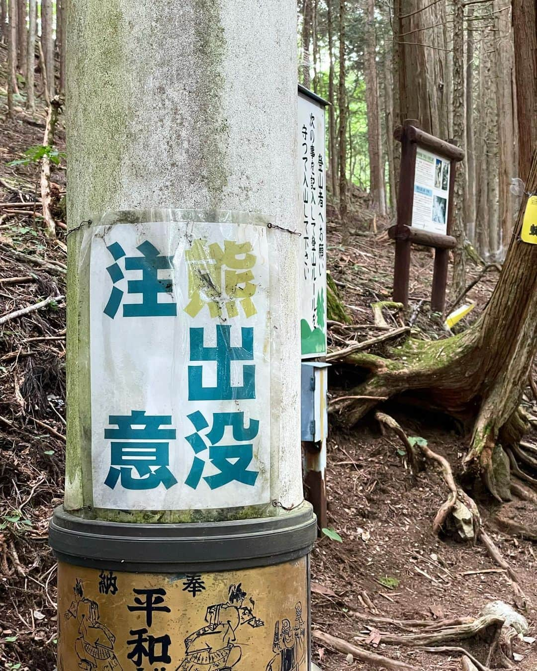 山本浩未さんのインスタグラム写真 - (山本浩未Instagram)「文月新月 三峰詣へ⛩️  山頂にある 奥宮 へ行くのはチョイと気合がいる。木の根がロッククライミングみたいになってる山道を登って下ってを繰り返し、最後、ほぼ垂直の岩を鉄鎖で登り  着いた〜 😆  途中出会った、 気楽な軽装のAちゃん🩴 裸足のBさん🦶  宿坊に戻ったら凄いお天気雨 ☔️☀️  ゆりちゃん曰く、 「 三峰神社＆新月パワー だね ⛩️🌑✨」  色んな人がいる 色々あっていい だからおもしろ〜い😆  #三峰神社 #新月 #まず遥拝殿へ #登山級の奥宮への道 #スクワット再開を誓う #裸足でアーシング #突然の雨 #秩父」7月22日 13時54分 - hiromicoy