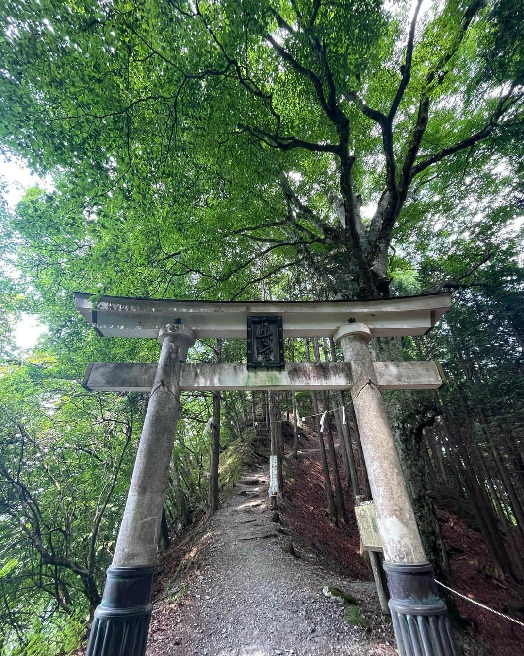 山本浩未さんのインスタグラム写真 - (山本浩未Instagram)「文月新月 三峰詣へ⛩️  山頂にある 奥宮 へ行くのはチョイと気合がいる。木の根がロッククライミングみたいになってる山道を登って下ってを繰り返し、最後、ほぼ垂直の岩を鉄鎖で登り  着いた〜 😆  途中出会った、 気楽な軽装のAちゃん🩴 裸足のBさん🦶  宿坊に戻ったら凄いお天気雨 ☔️☀️  ゆりちゃん曰く、 「 三峰神社＆新月パワー だね ⛩️🌑✨」  色んな人がいる 色々あっていい だからおもしろ〜い😆  #三峰神社 #新月 #まず遥拝殿へ #登山級の奥宮への道 #スクワット再開を誓う #裸足でアーシング #突然の雨 #秩父」7月22日 13時54分 - hiromicoy