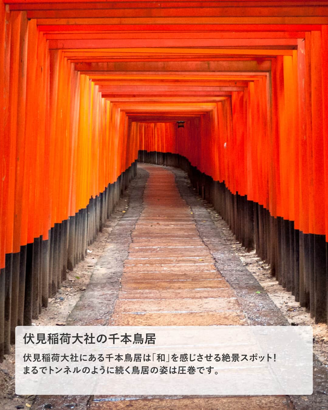楽天トラベル さんのインスタグラム写真 - (楽天トラベル Instagram)「投稿を保存して見返してね😊 毎日おすすめの観光スポットやホテルを紹介している 楽天トラベル💚 👉@rakutentravel  ーーーーーーーーーーーーー  本日は、雅な風景を堪能できる京都の絶景スポットを紹介します😊 季節によって違う顔を見せる京都に何度でも訪れたくなりますよね⛩  ーーーーーーーーーーーーー  1　貴船神社 2　伏見稲荷大社の千本鳥居 3　渡月橋 4　竹林の道 5　天橋立 6　伊根の舟屋 7　大江山の雲海  ーーーーーーーーーーーーー  #rakutentravel をつけて投稿してくだされば、 あなたの撮った写真が楽天トラベルアカウントに掲載されるかも👀  トレンドから定番まで、来週のワクワクを叶える楽天トラベルの旅マガジン👜💕楽天トラベルをフォローして理想の旅をみつけてね🛫@rakutentravel  今までの旅行の体験談や感想など コメントに書いてね✏  ーーーーーーーーーーーーー」7月22日 18時00分 - rakutentravel