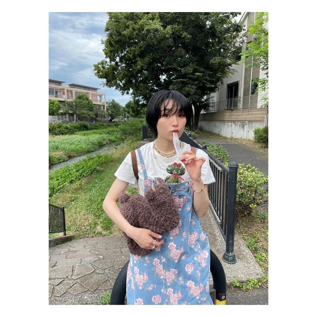 早乙女ゆうのインスタグラム：「夏ですね。梨味のアイスを食べました。 もふもふはいつでも可愛いです。」