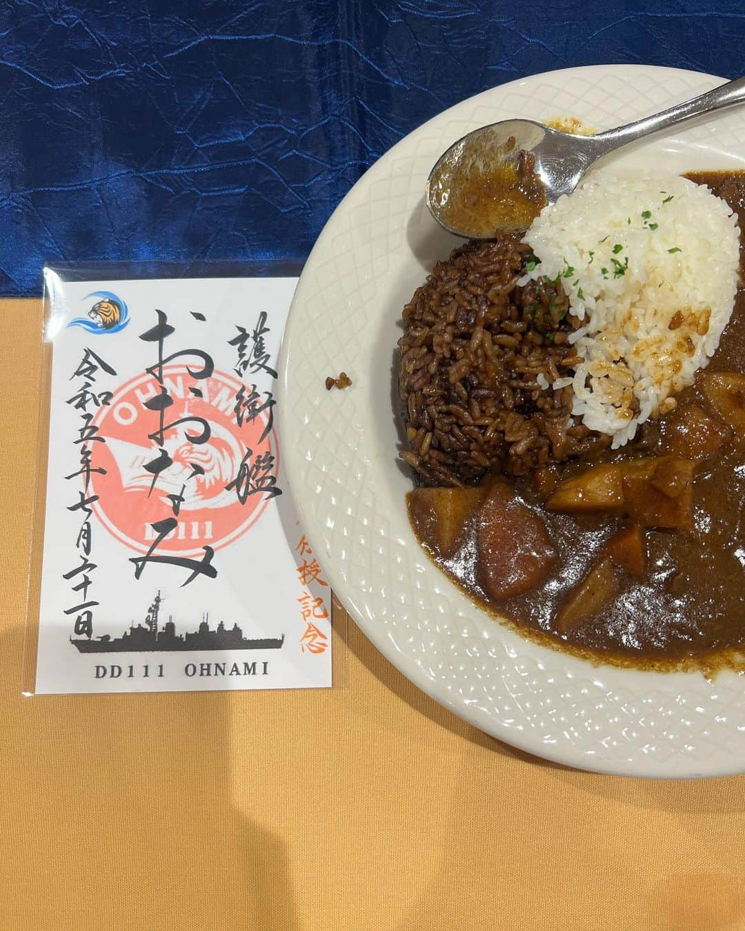 イリザ・シュレシンガーさんのインスタグラム写真 - (イリザ・シュレシンガーInstagram)「Thank you Yokosuka. You guys were an incredible crowd. We love the K-9 demonstration, the curry tasting and just meeting all of you. I think I made your base commander blush at the show😂 - thank you for having us! 🚢 🌊 💪 #navy #yokosuka」7月22日 15時22分 - ilizas