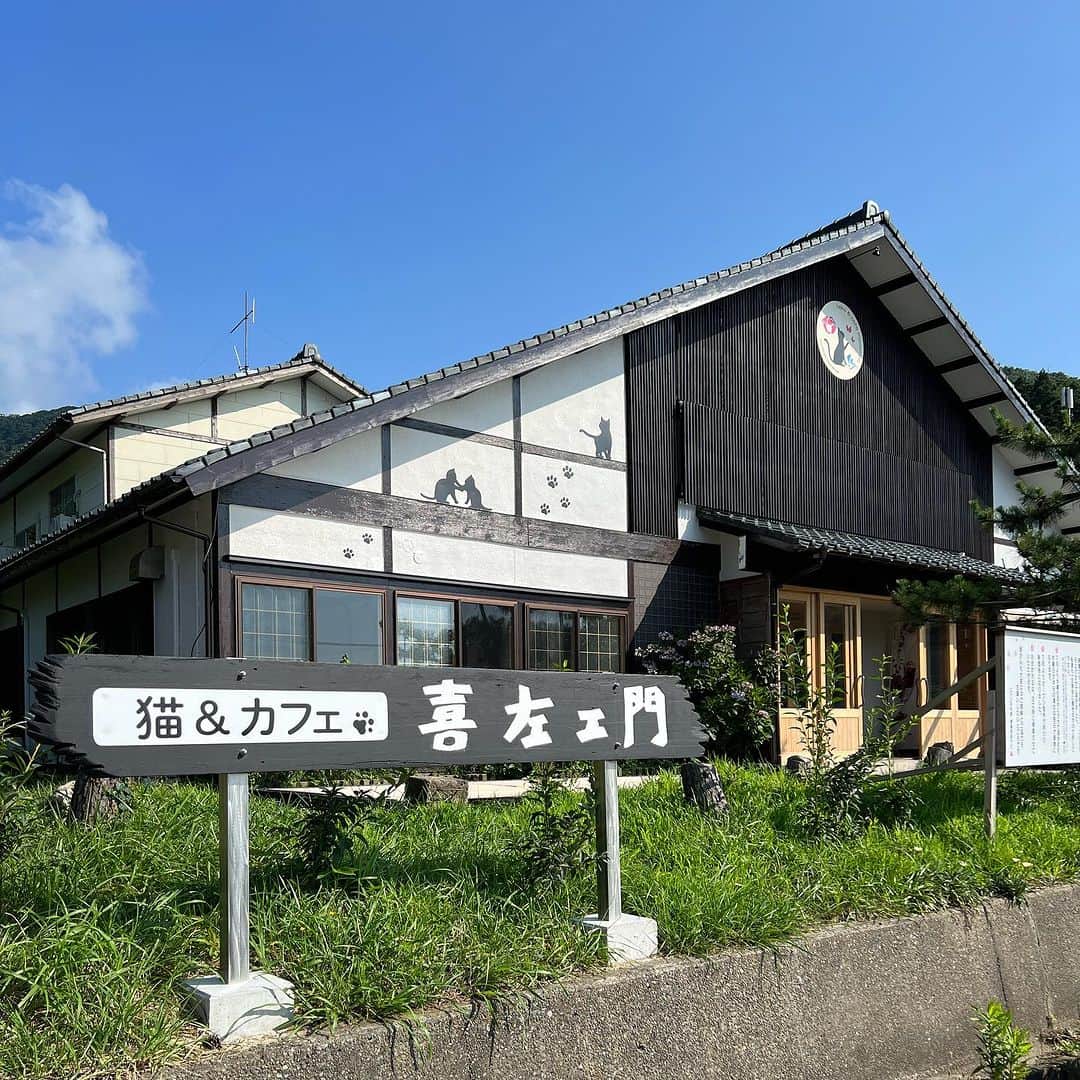 柿崎洋一郎のインスタグラム：「田ノ浦海水浴場側にある  neko & cafe Kizaemonに 行ってきました。 カレーがシーフード一杯で 美味しかった！！ お箸もスプーンもネコ柄！！ そしてネコに触って癒された！！」